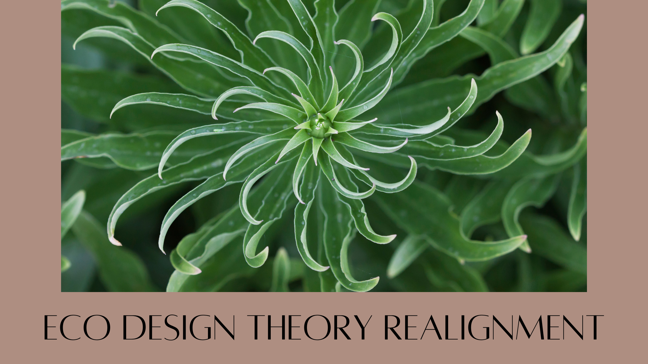 Journal 4 - Realigning