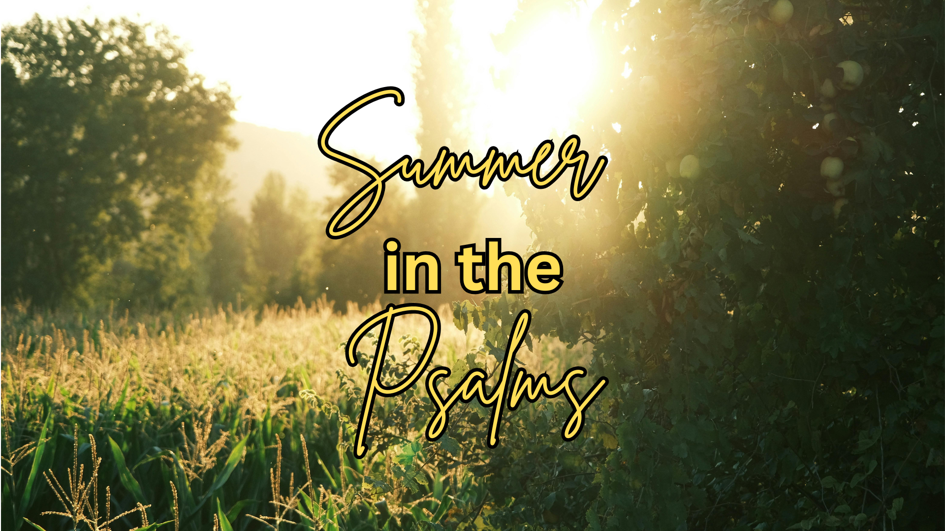 Psalm 1 - Pastor Justin - The Two Ways