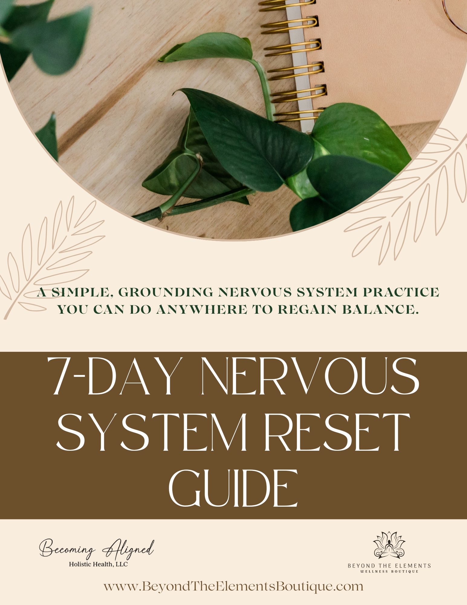 7-Day Nervous System Reset Guide