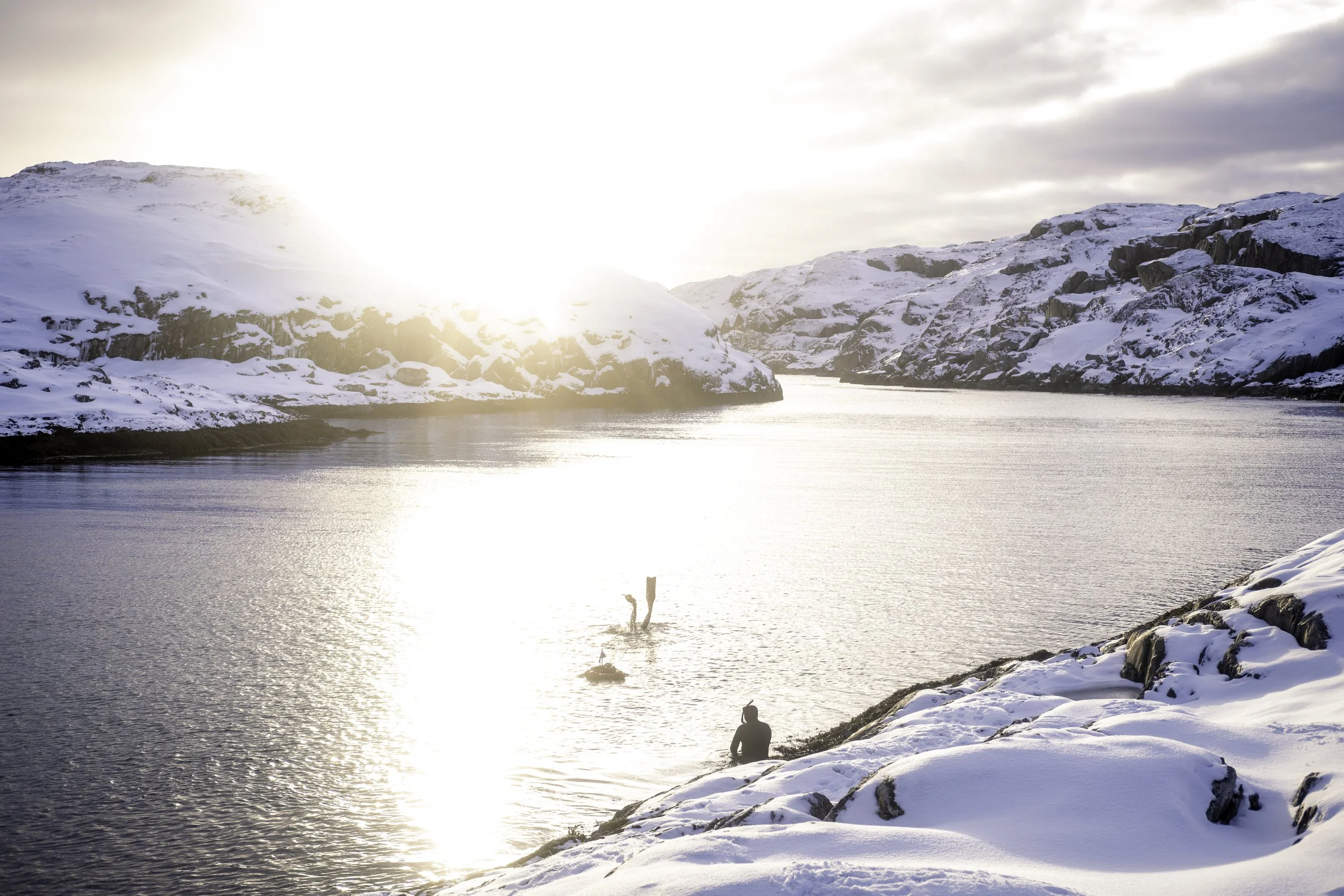 Februar i fjæra // Myken November Island