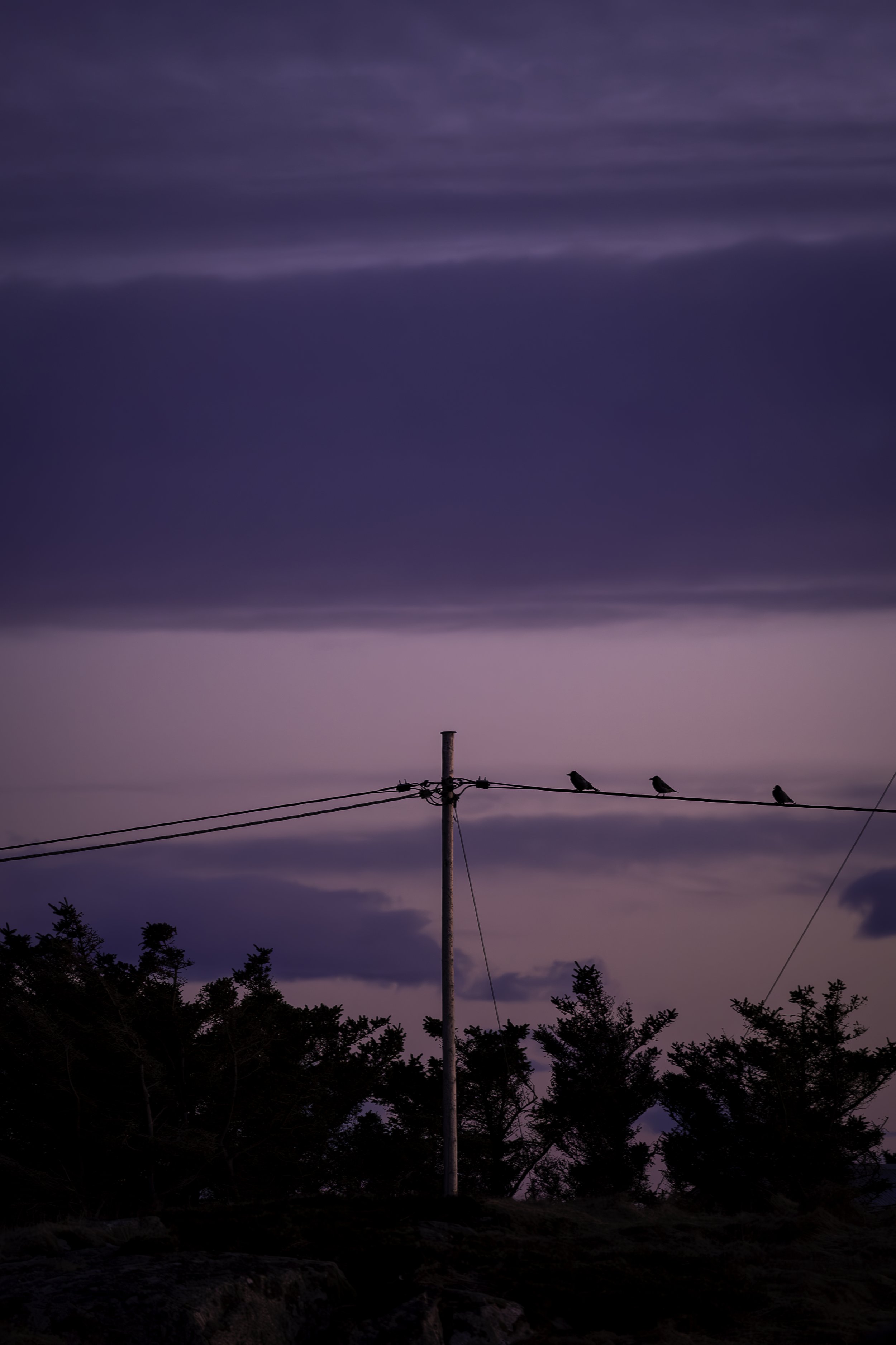 Colors of The Wind // Myken November Island