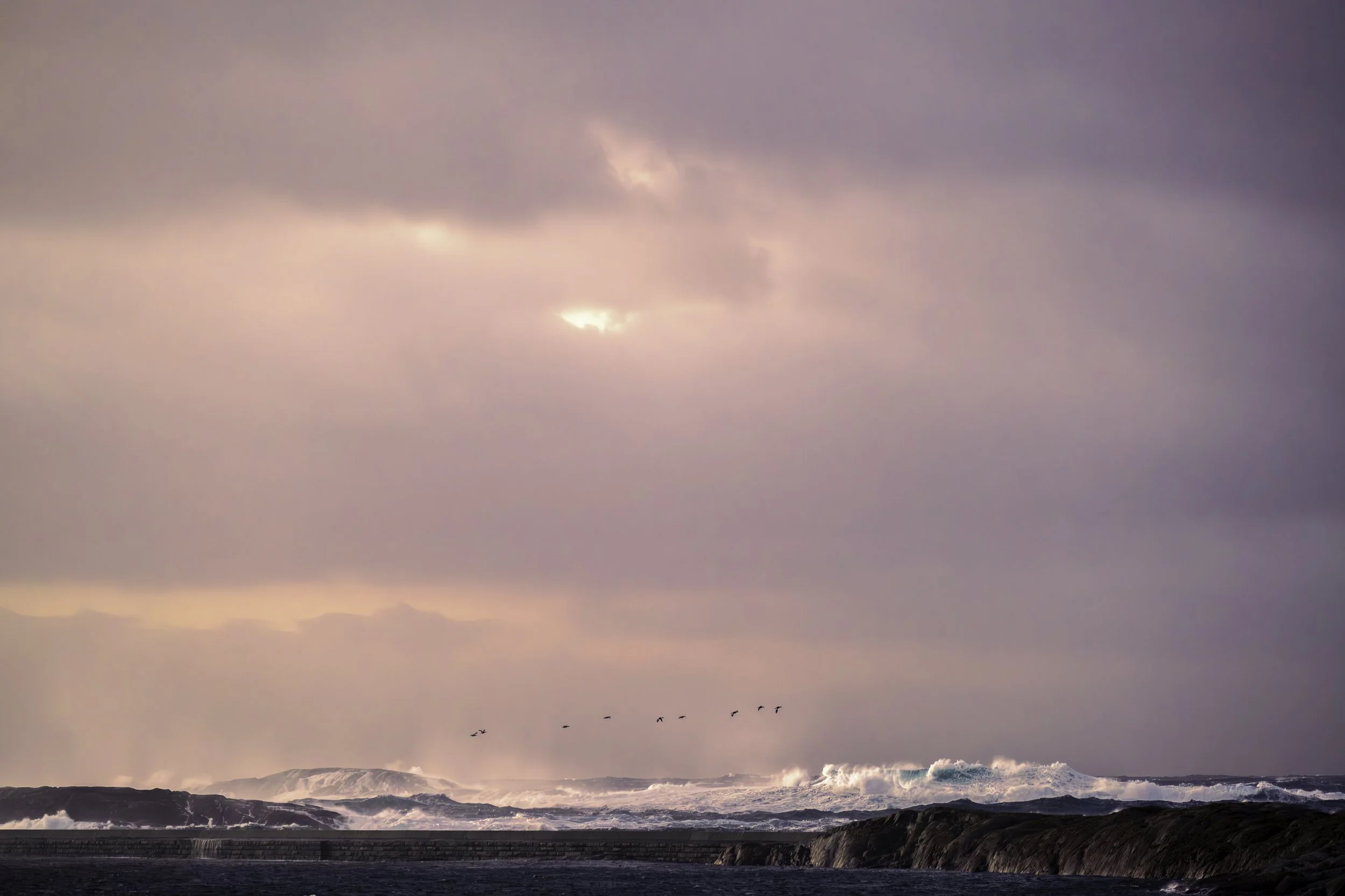 Flight // Myken November Island