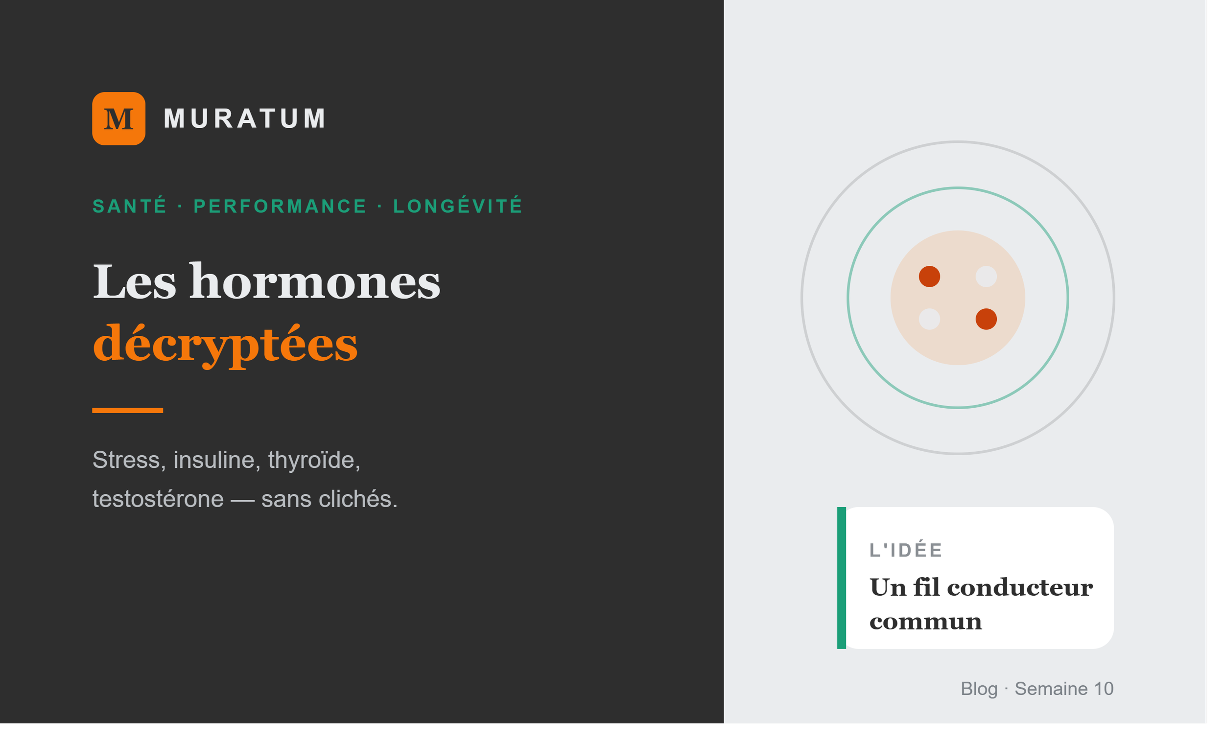 Les hormones décryptées : stress, insuline, thyroïde, testostérone