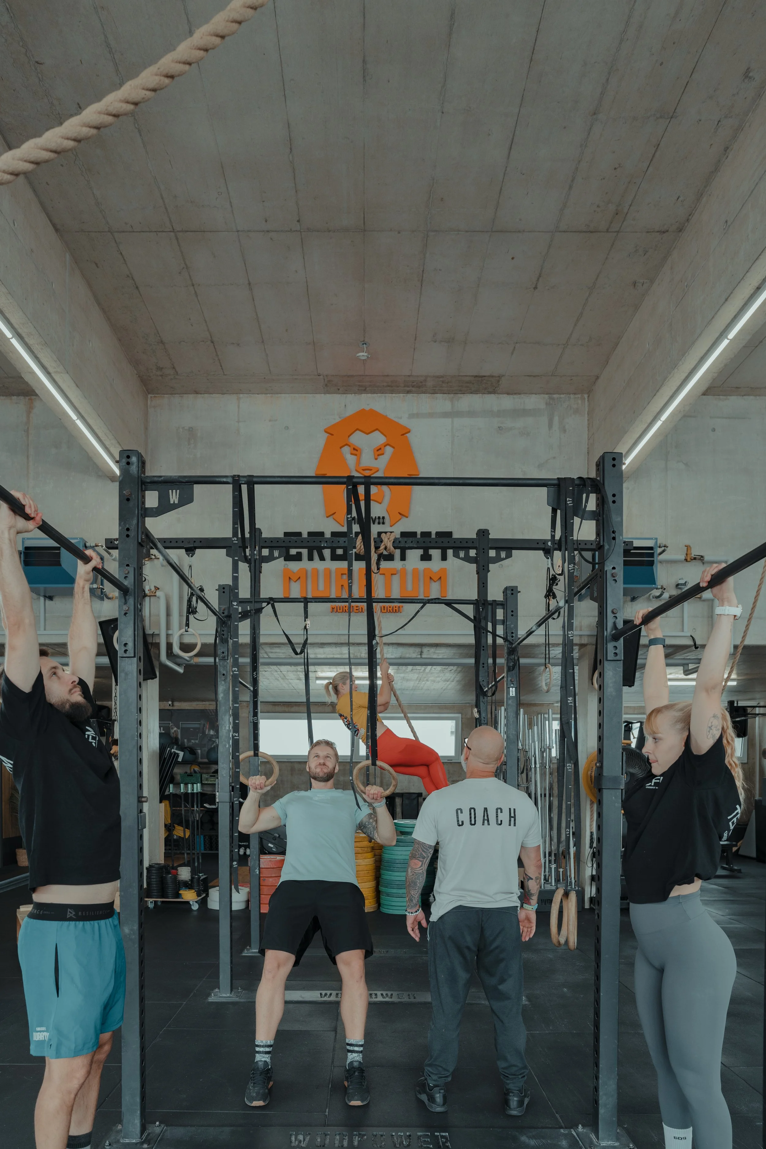 Une salle de sport avec plusieurs personnes effectuant des exercices de musculation et de gymnastique, avec un logo de lion orange en arrière-plan et une structure de cage de CrossFit.