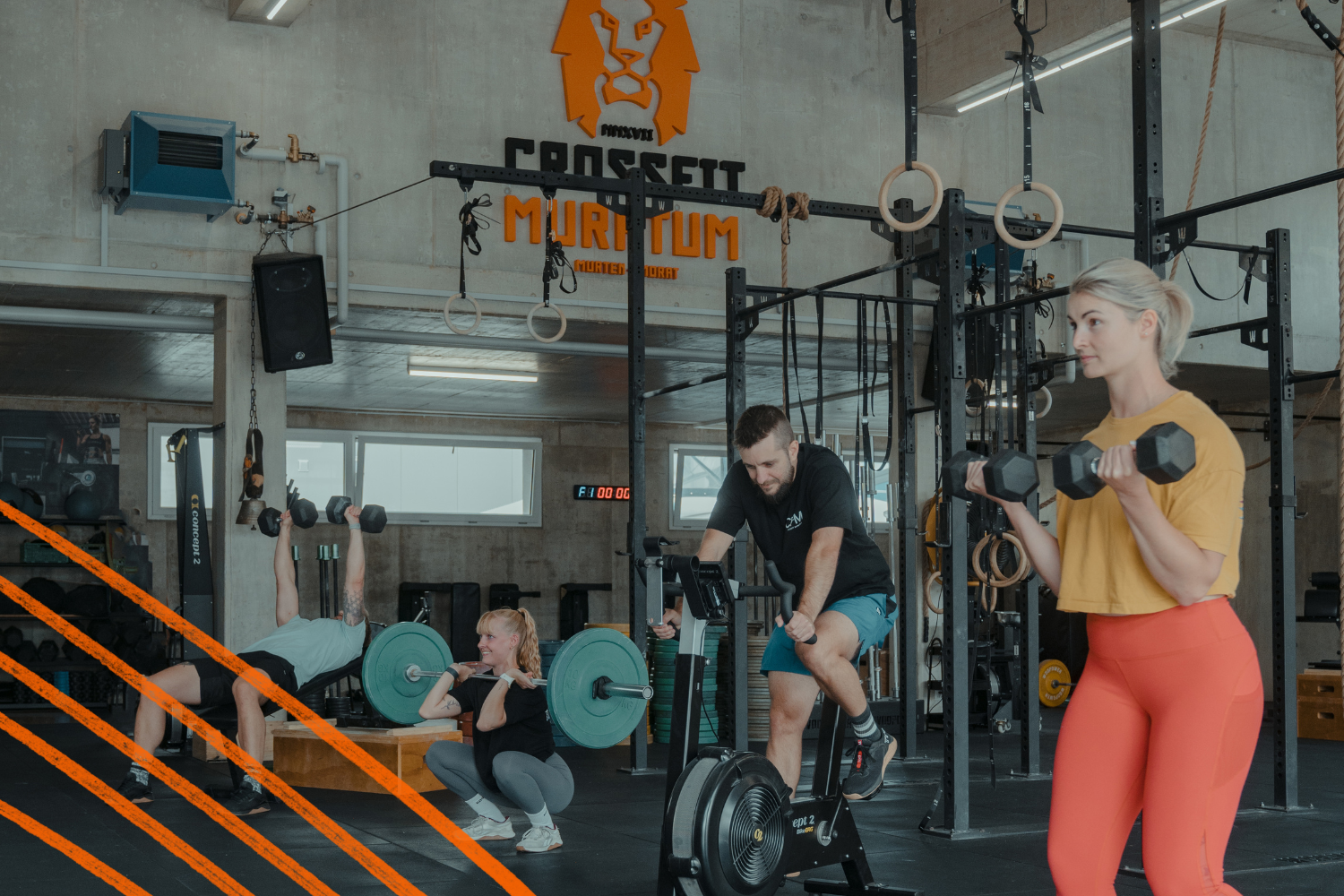Une salle de sport avec plusieurs personnes s'entraînant. Deux femmes en premiers plan, l'une avec des haltères, l'autre avec des poids. Deux hommes derrière, un utilisant un vélo d'appartement et un autre faisant des exercices avec des haltères. La salle a un décor industriel avec des murs en béton et des équipements de musculation.