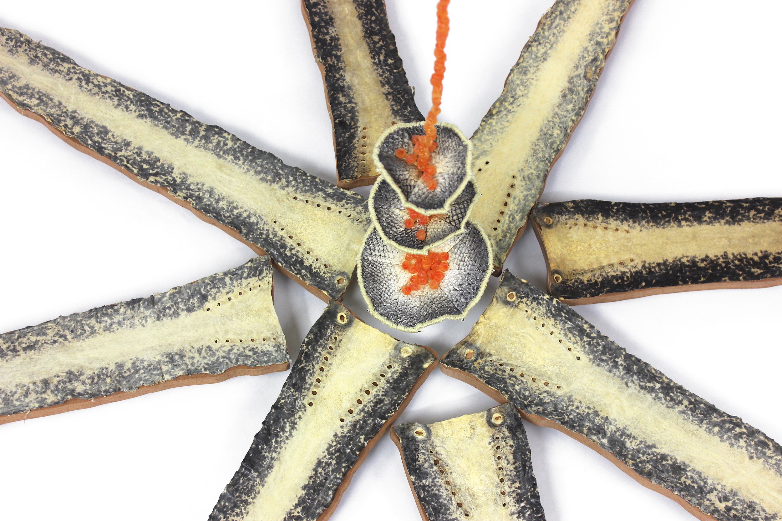 'octagram' -- sea lamprey leather, mahogany, preserved salmon roe, salmon leather, steel, embroidery floss --      108” x 38” x 38”