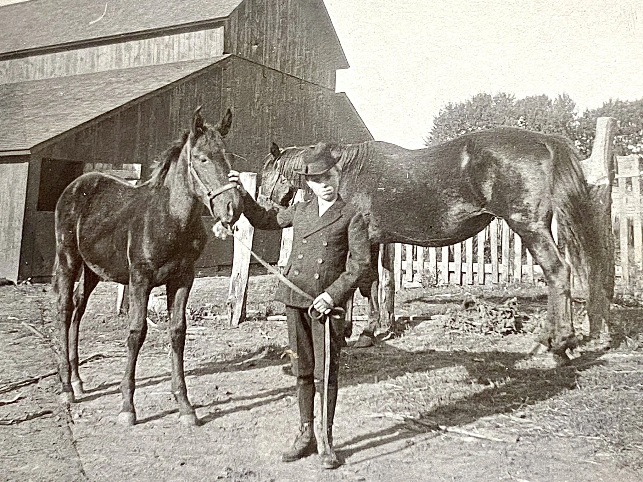 Uncle Tom Girvin (Grandpa Tom's uncle) with his horse. The US Cavalry purchased the horse to send to the WWI effort in Europe. Later Uncle Tom was sent to the Calvary unit in Europe. Story goes that the horse recognized Tom and whinnied to be petted!