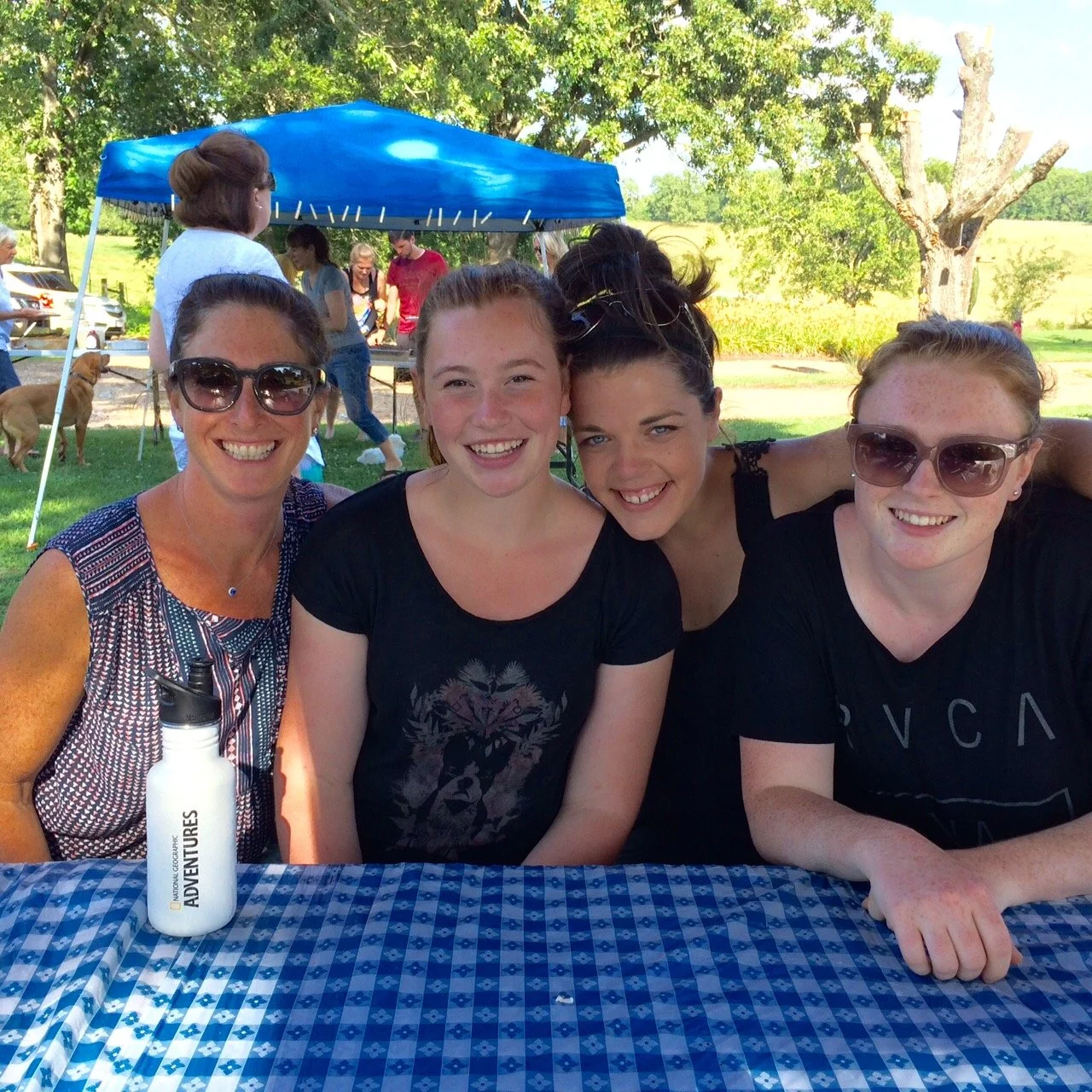 2016 Family Reunion in Missouri