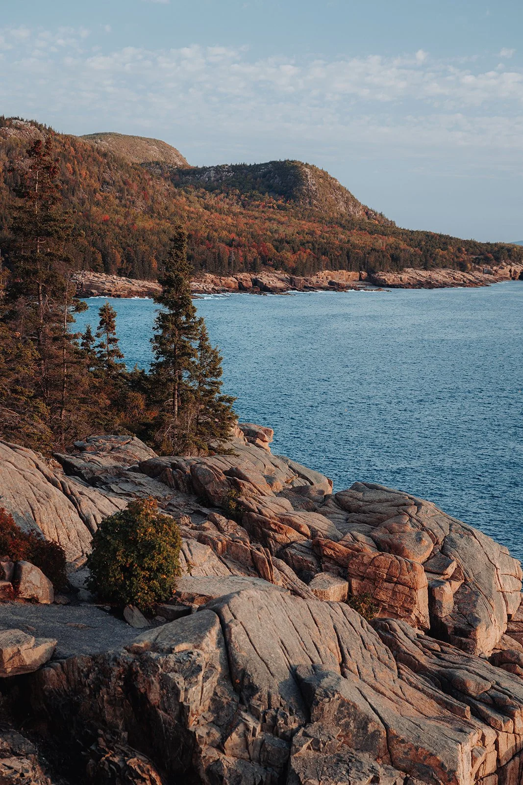 CTZN-NE-Fall-468.jpg