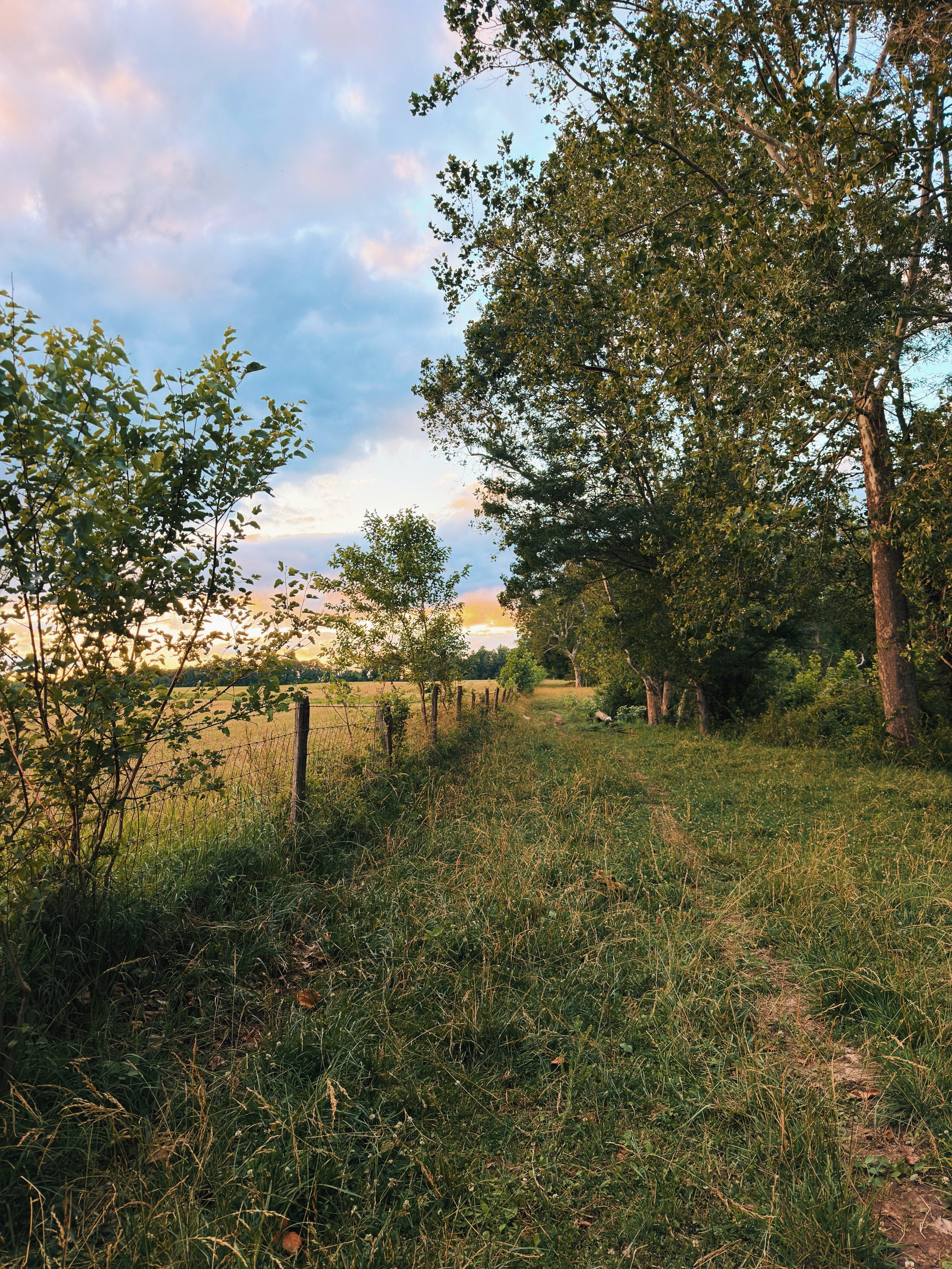 When I was young I used to roam our cow pastures with knee high grass in flip flops and not a care in the world&hellip;to be young again (and not worry about snakes and ticks 😅)

Luckily for me (and my silly adult brain), this pasture is pretty shor