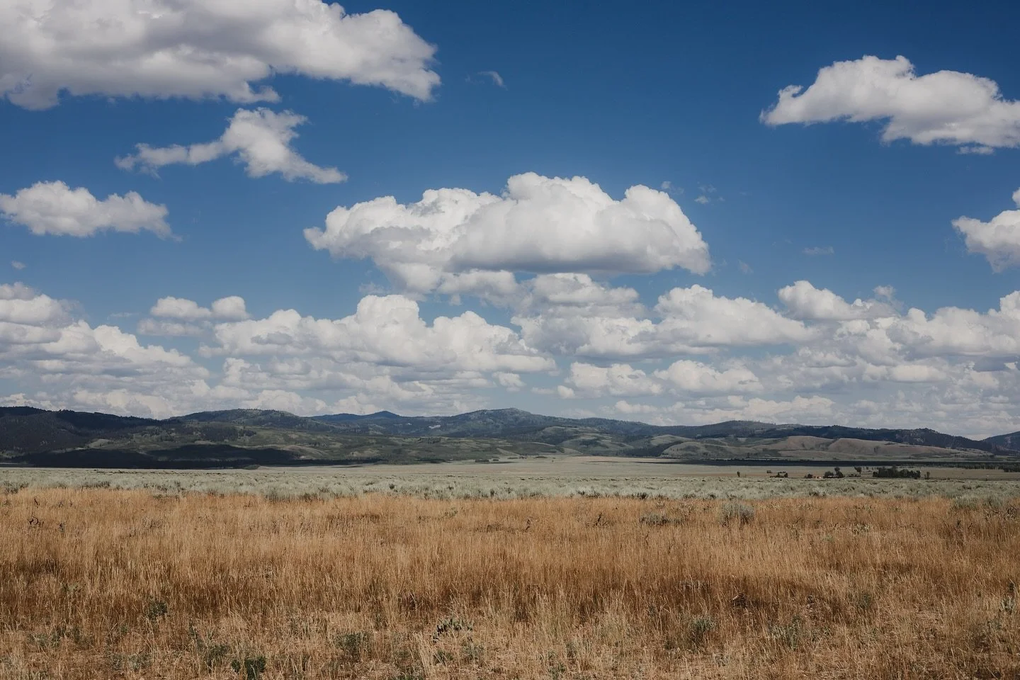 Wyoming ⛰️ 

Canon 6D mark II 50 mm f1.8

#midwestphotographer #thewanderingcreek #wyomingphotography