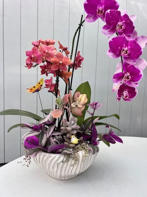 Orchid and succulents perfectly complimenting each other - in height, color and presentation.
