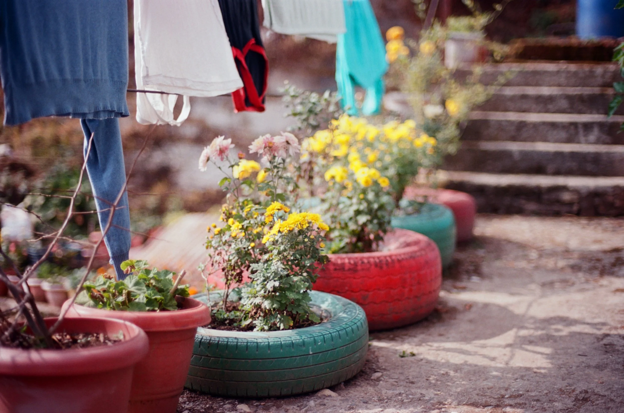 000002950034 copy.jpeg