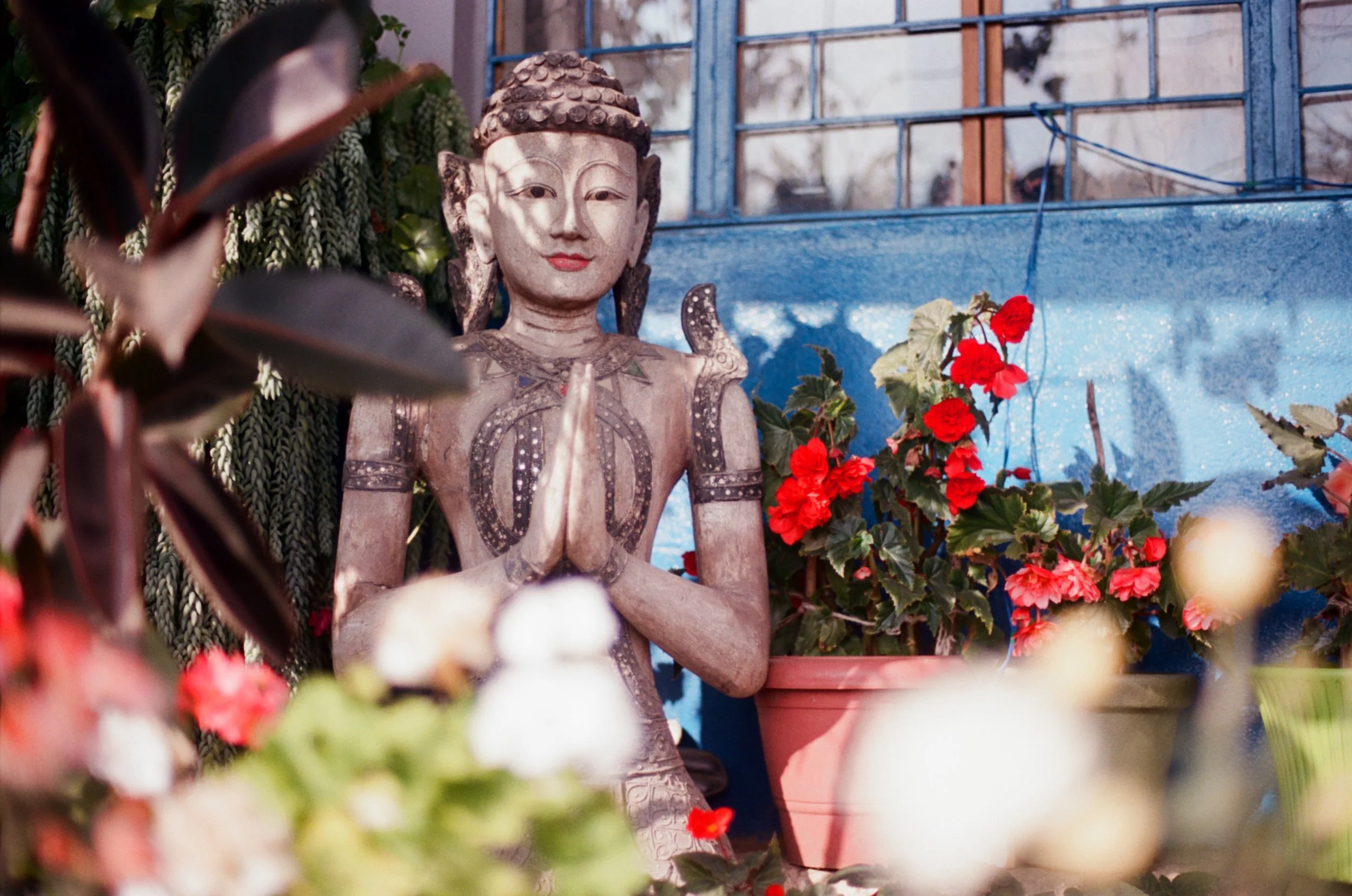 000002950031 copy.jpeg