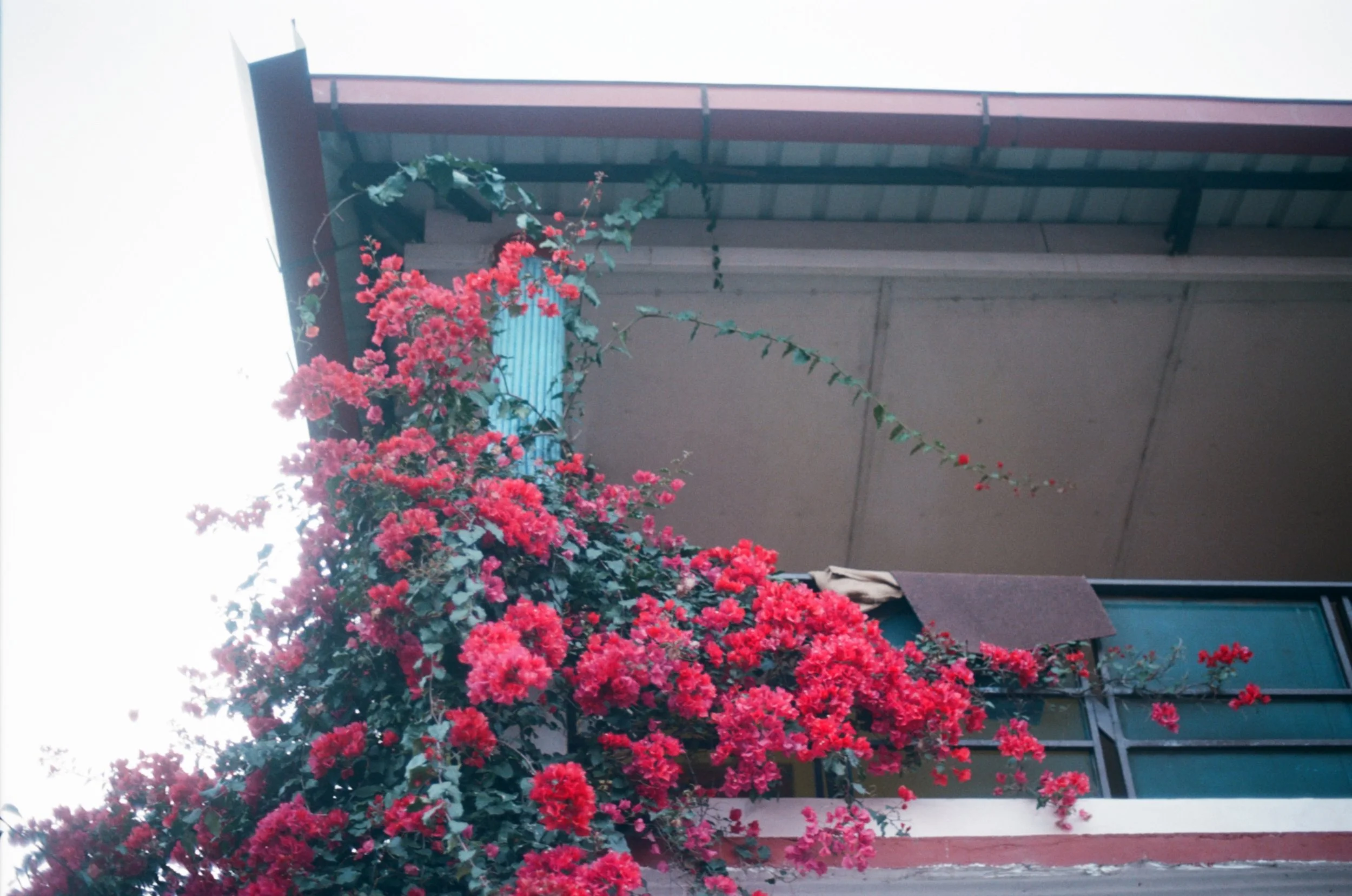 000002960017 copy.jpeg