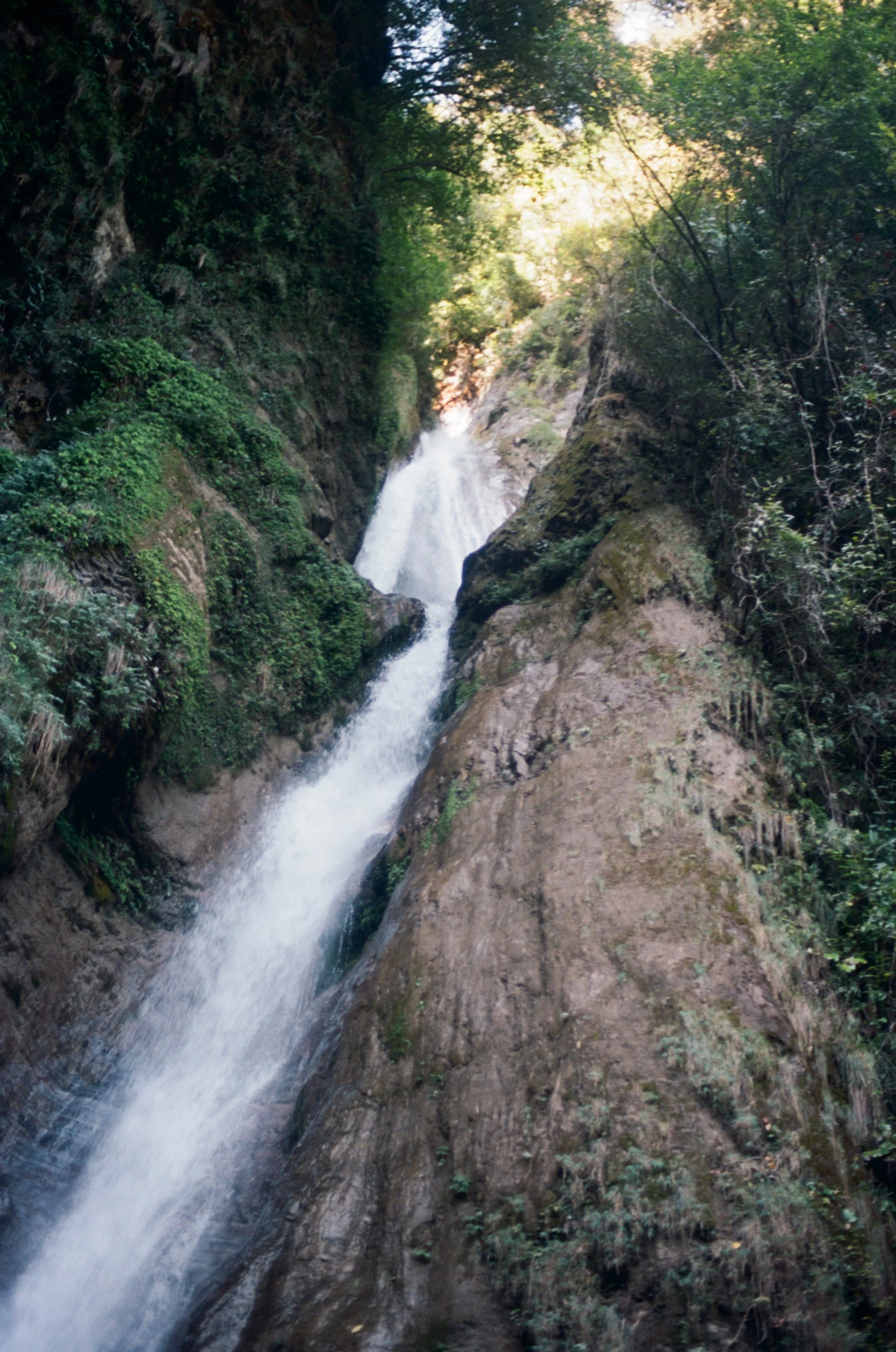 000002950003 copy.jpeg