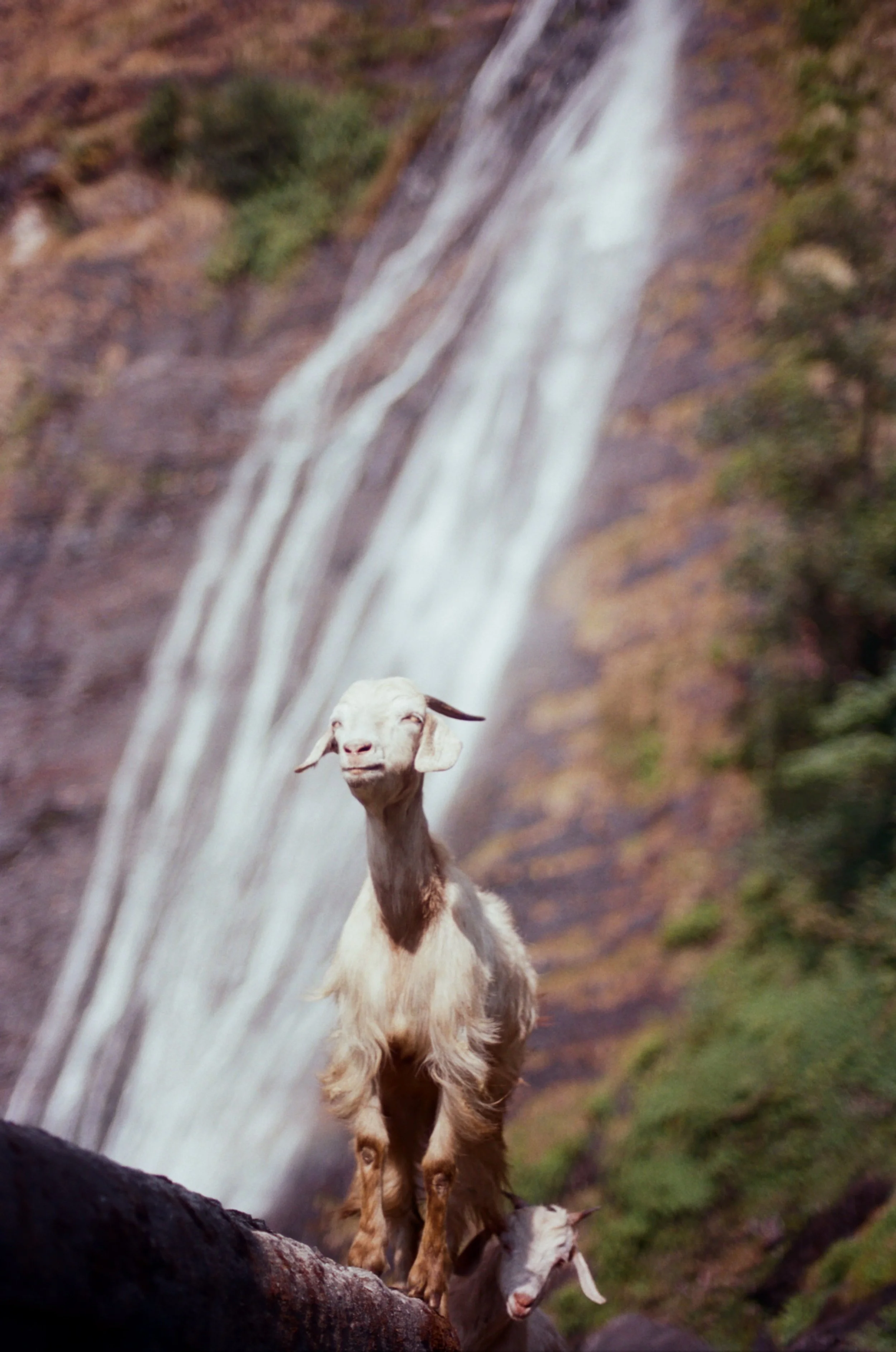 000002950012 copy.jpeg