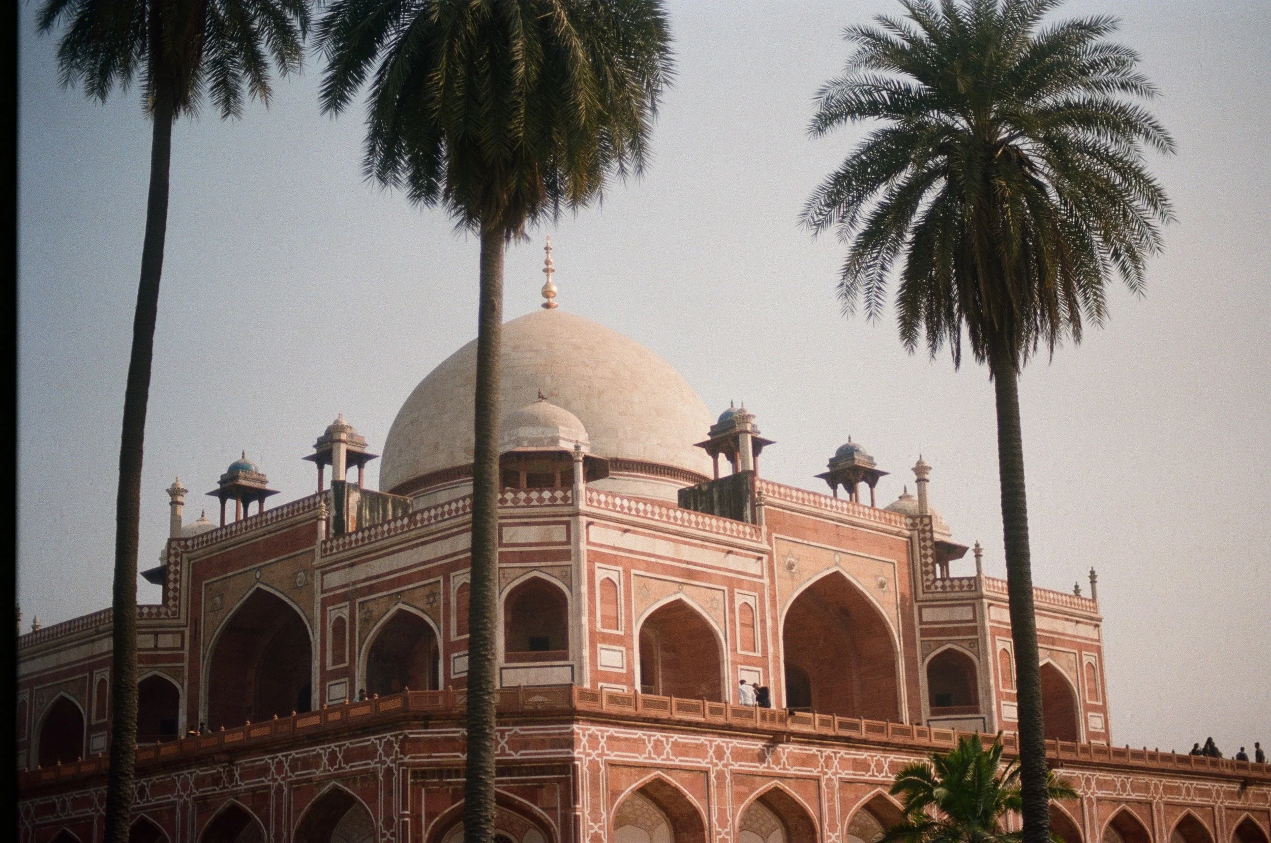 250127000023480013 copy.jpeg