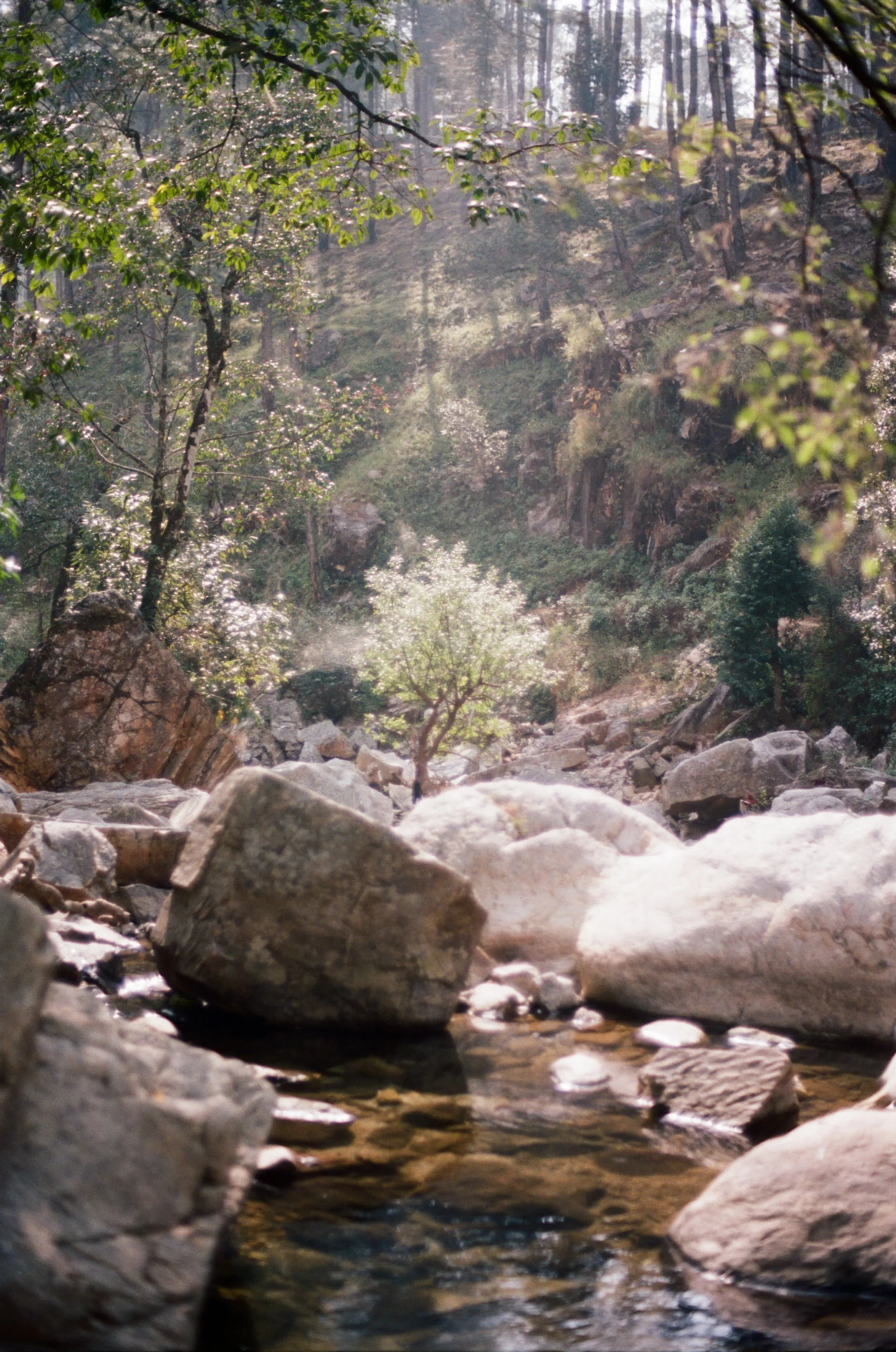 000002950023 copy.jpeg