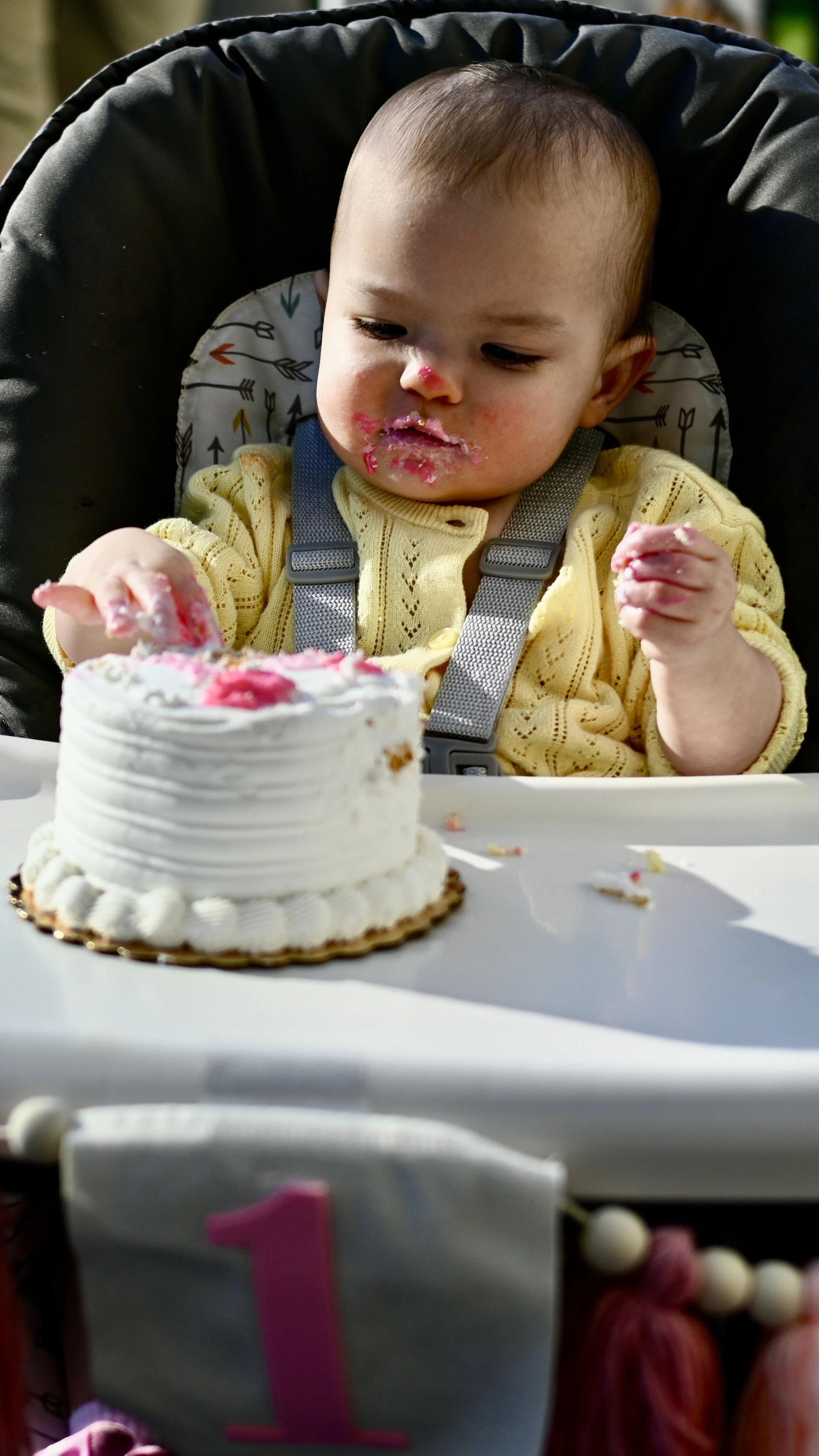 _DSC1523.JPG