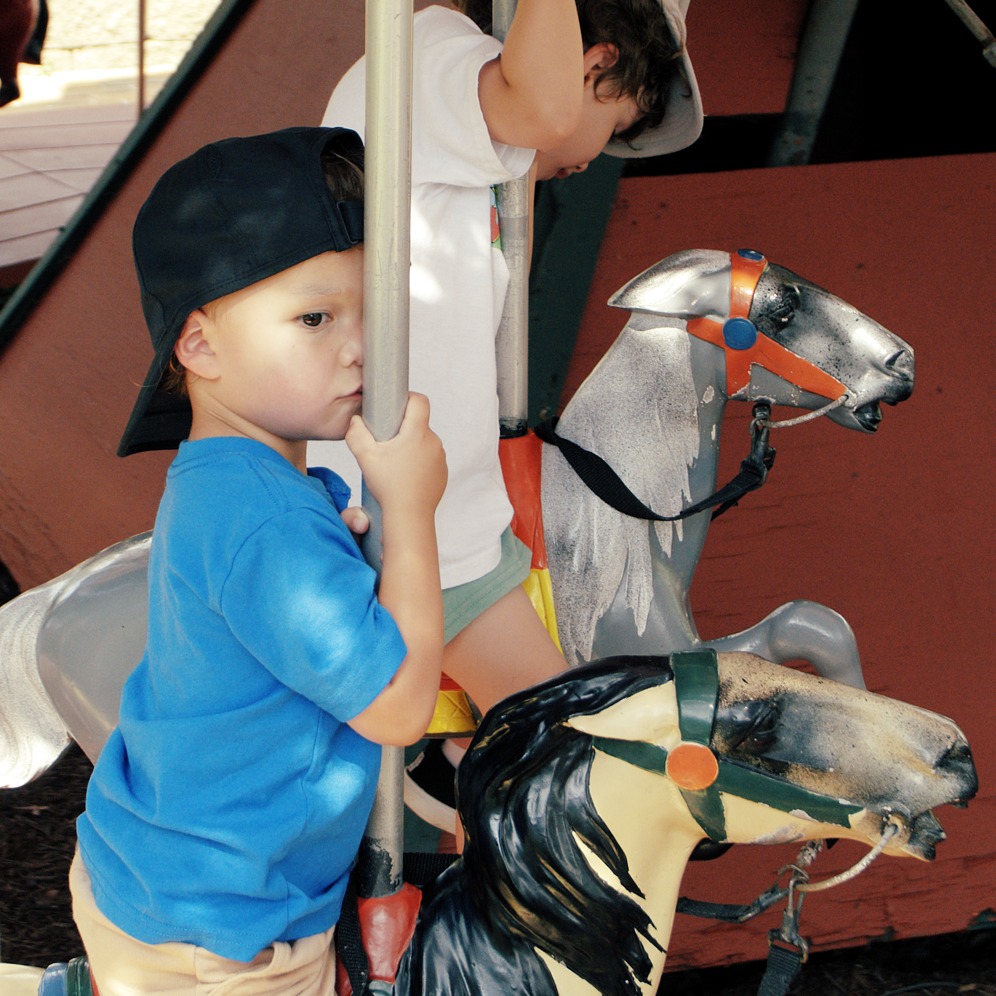 cam-horse.png