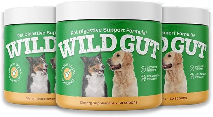 Containers of WILD GUT Pet Digestive Support Formula, featuring images of dogs and labels indicating it detoxifies the liver, aids cancer expiration, and is a dietary supplement with 30 scoops.