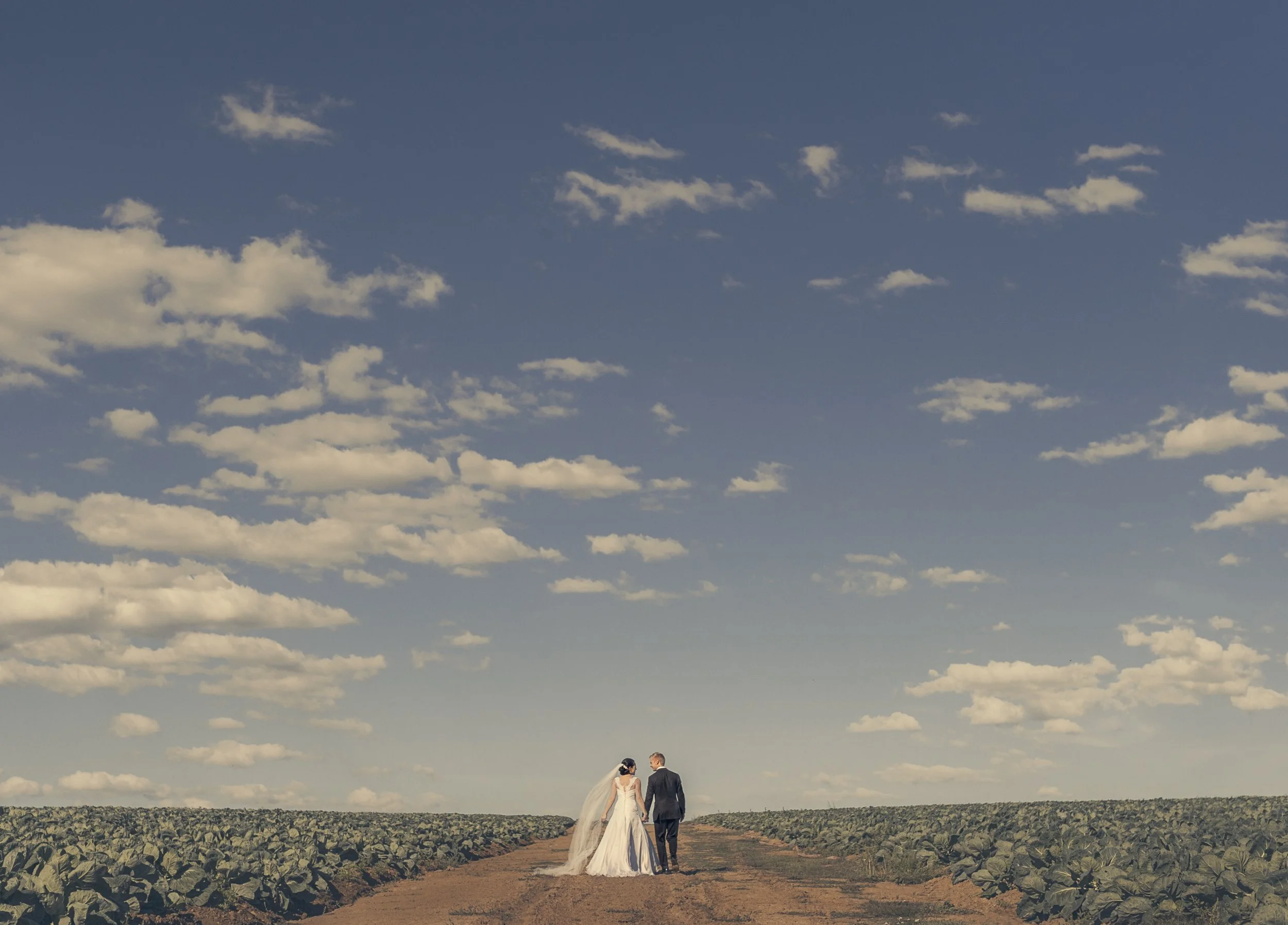 A bride and groom standing hand in hand on a dirt path in a farm field under a blue sky with scattered clouds.