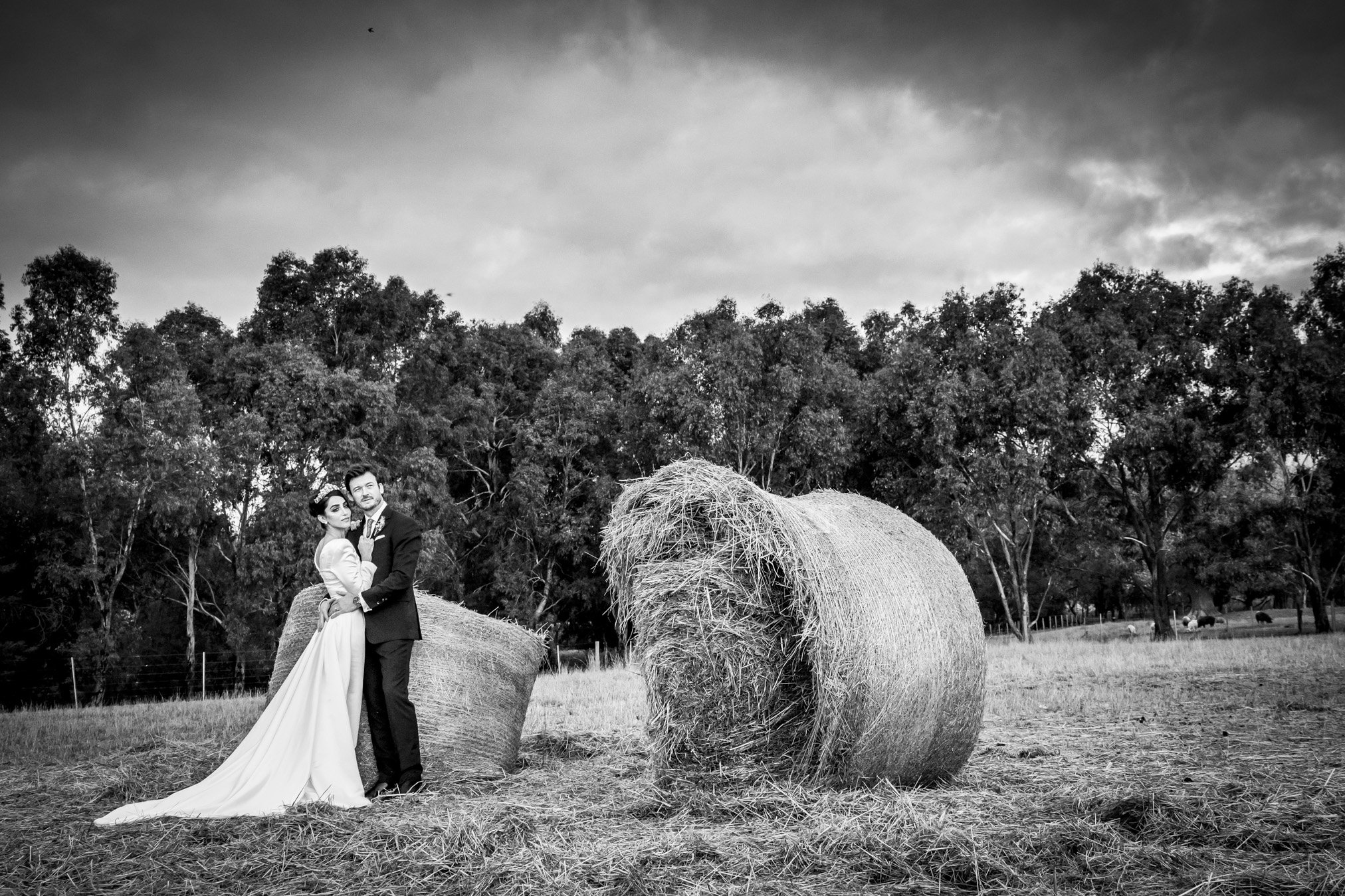 A bride and groom in wedding attire standing next to large hay bales in an open field with trees in the background on a cloudy day, black and white photograph.