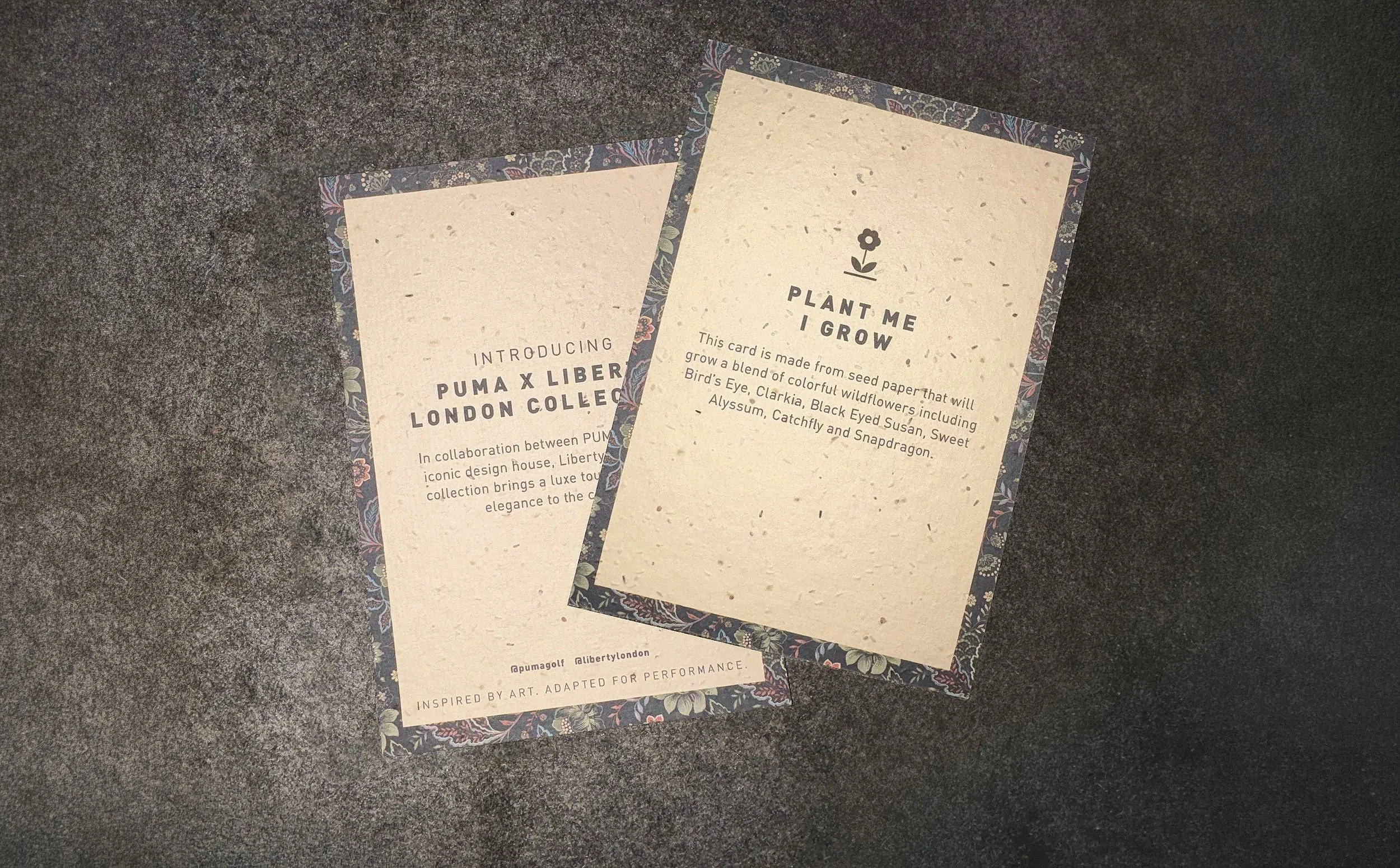 "Seeding" kit card printed on bio seed paper