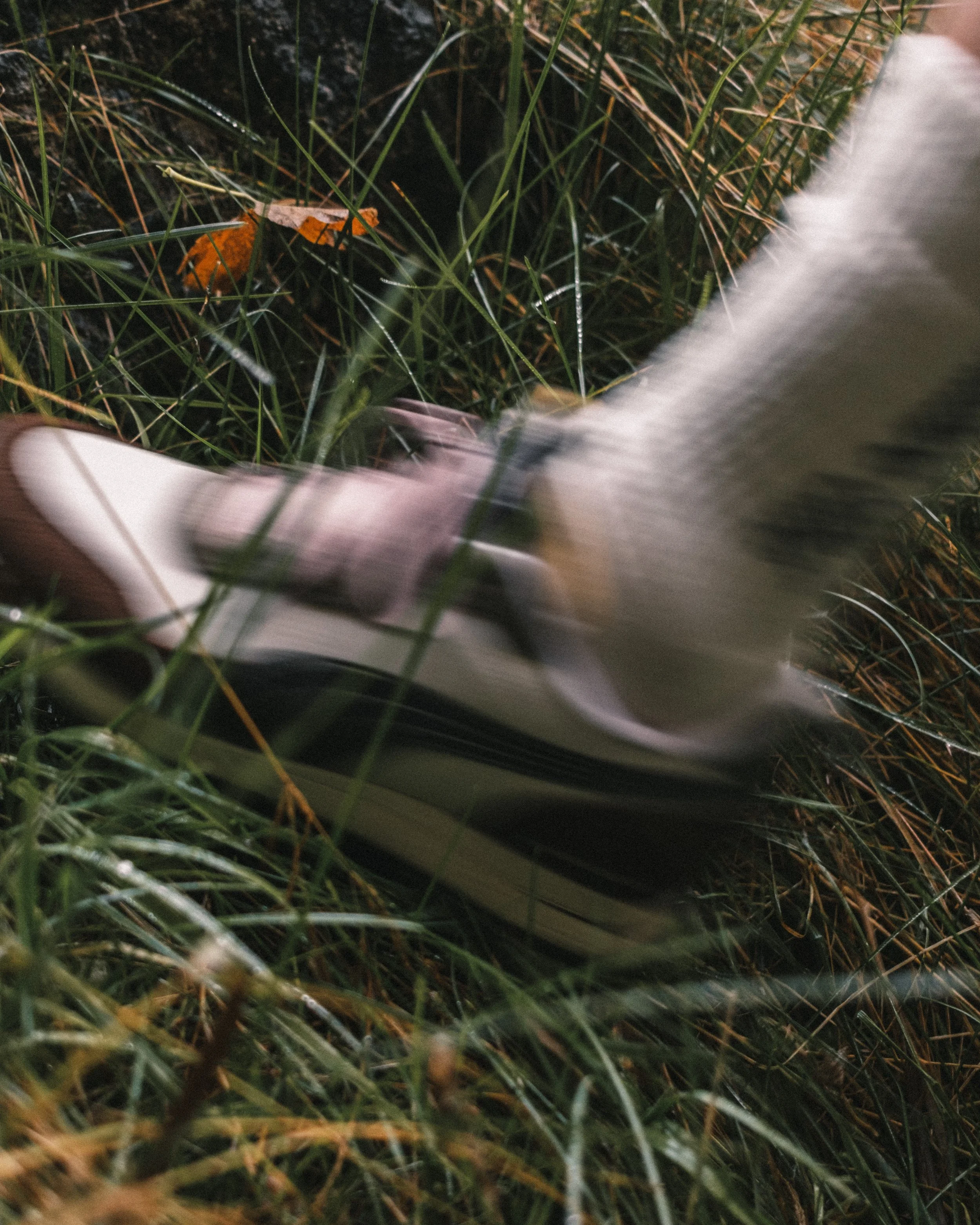 26SS_GO_PumaXGumTreeGolfandNature_DSCF2019.jpg