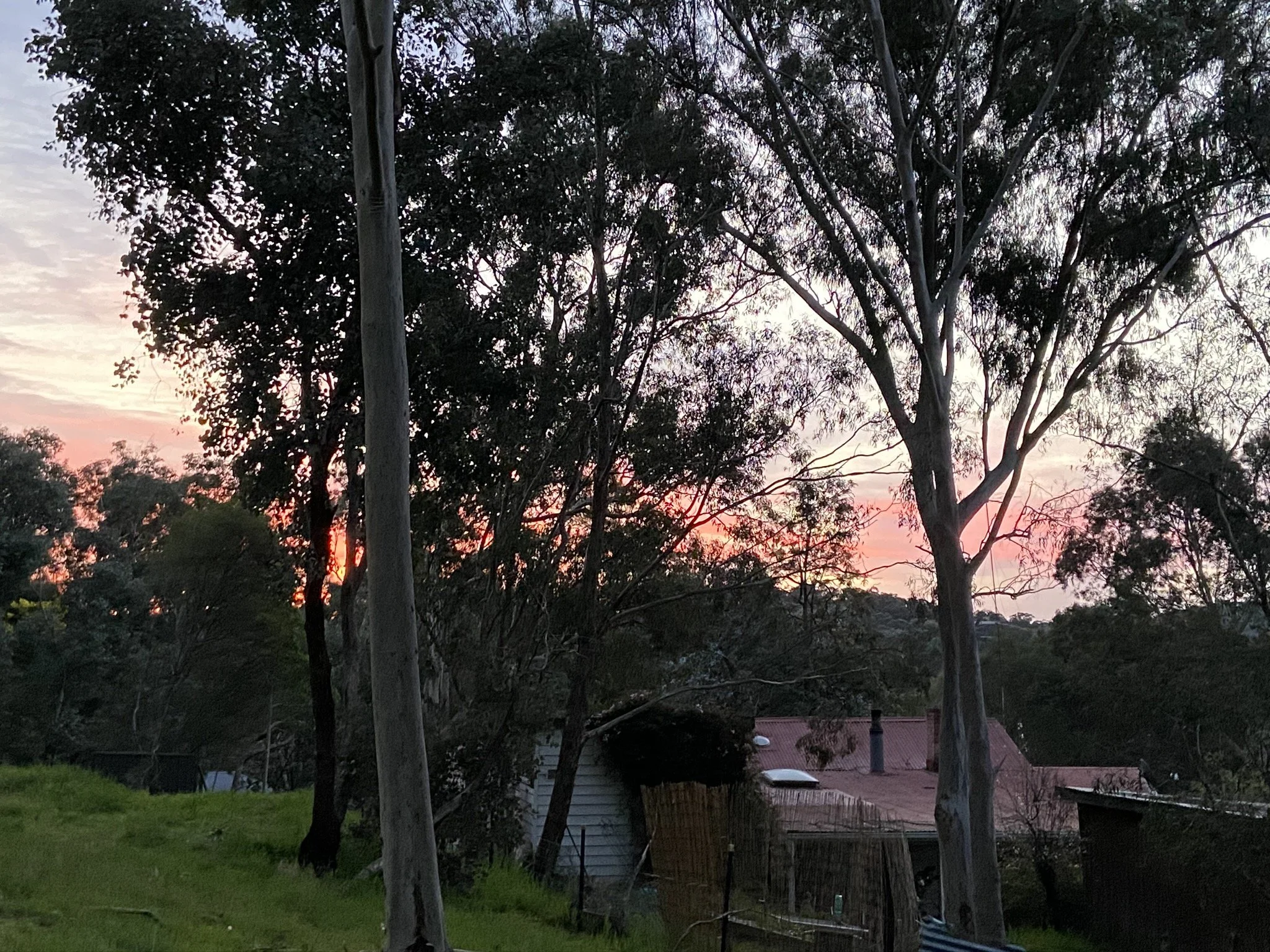 Bill Shock in Semi-Bushland