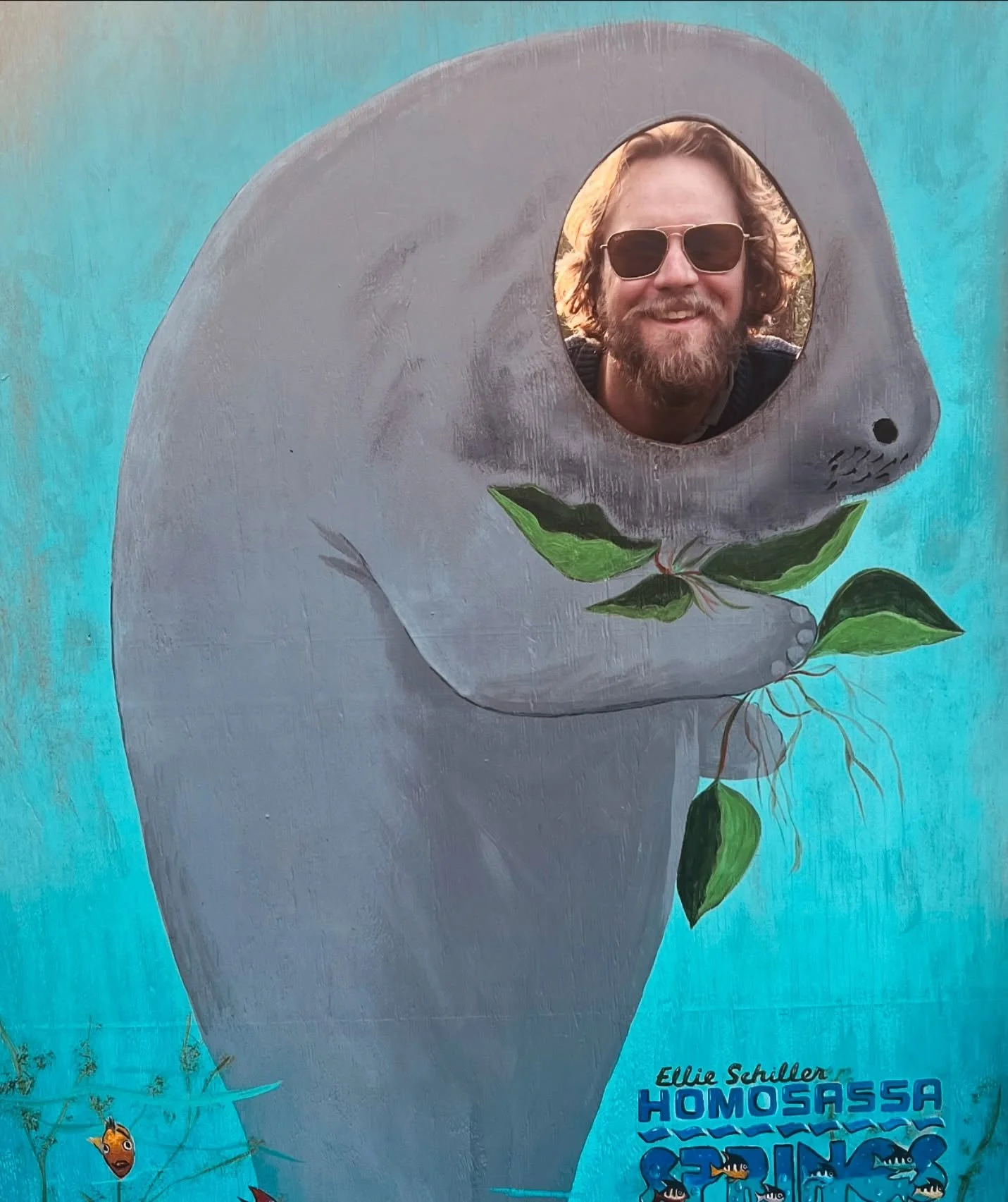 Home is where the sea cows are