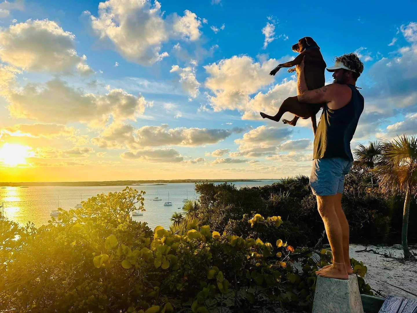 Everything the light touches