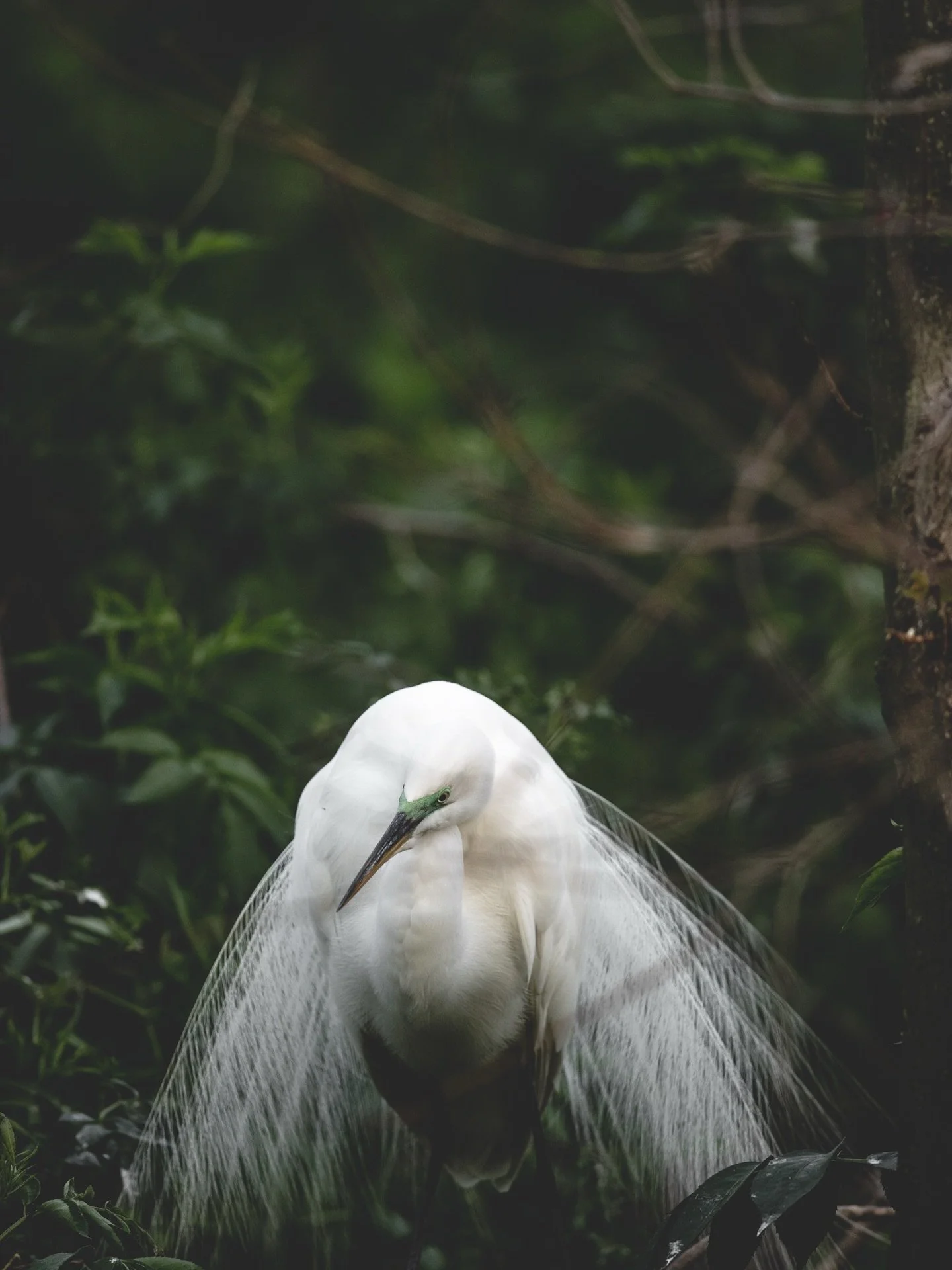 It&rsquo;s that time of year again. Things are getting spicy down at the Cypress Wetlands in Port Royal, SC. 

@friendsofprcypresswetlands 
@townofportroyal 
@visit_beaufortsc