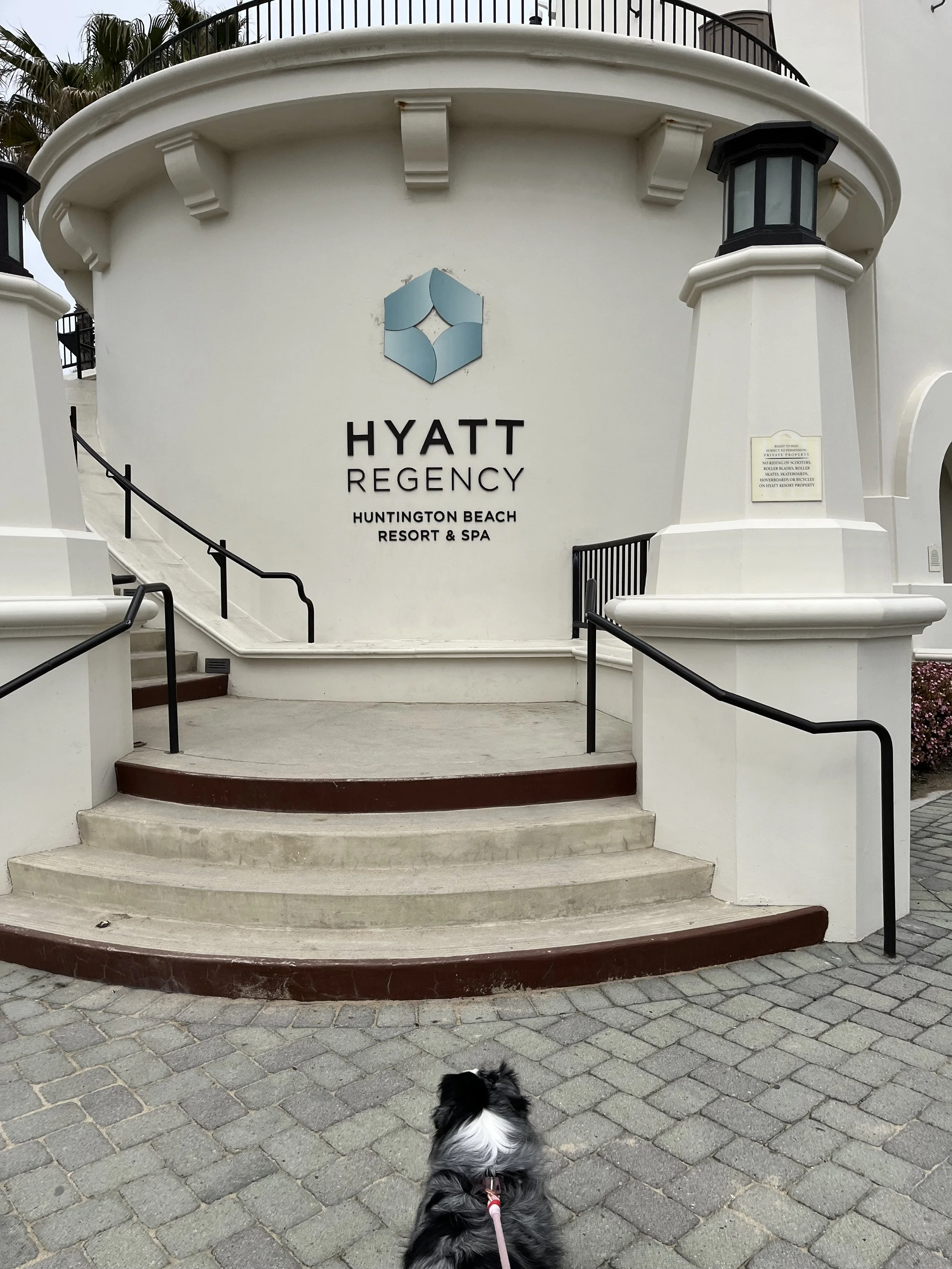 How I Used the Hotel Credit from The Business Platinum Card® from American Express