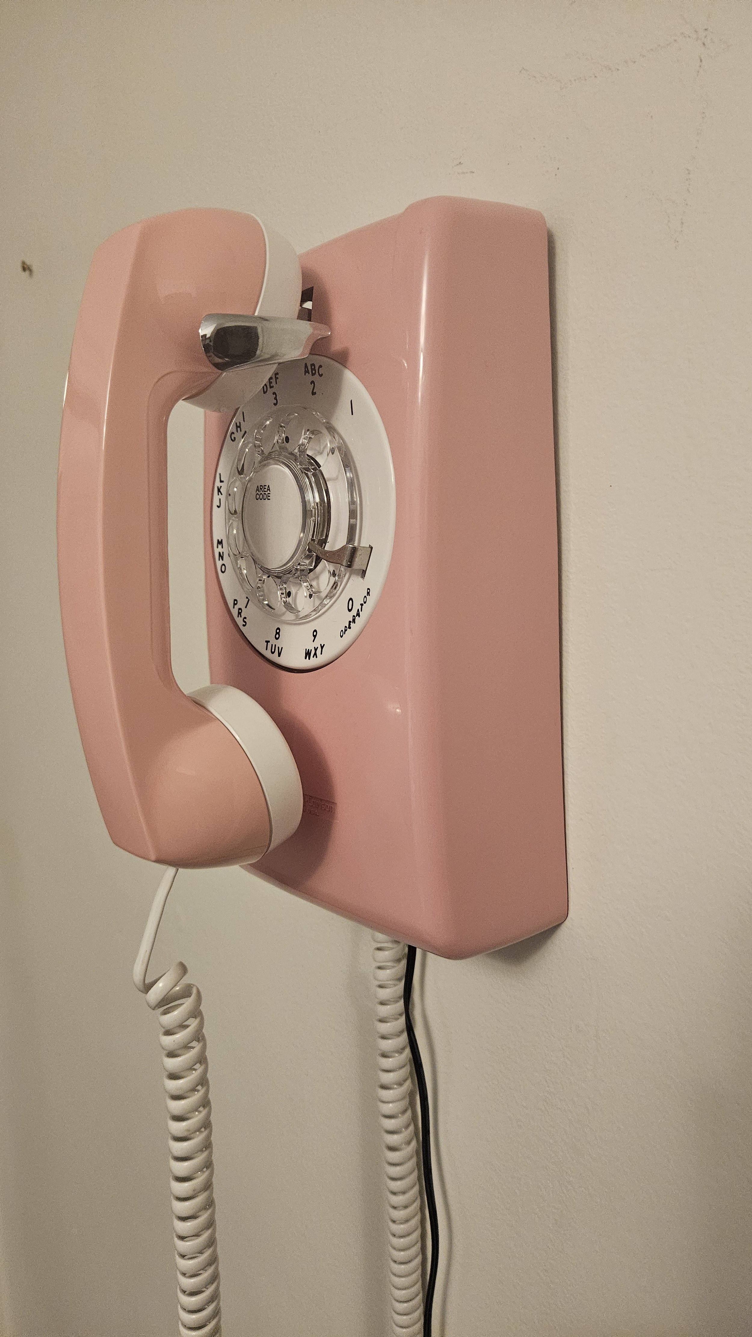 20240822_203149.jpg