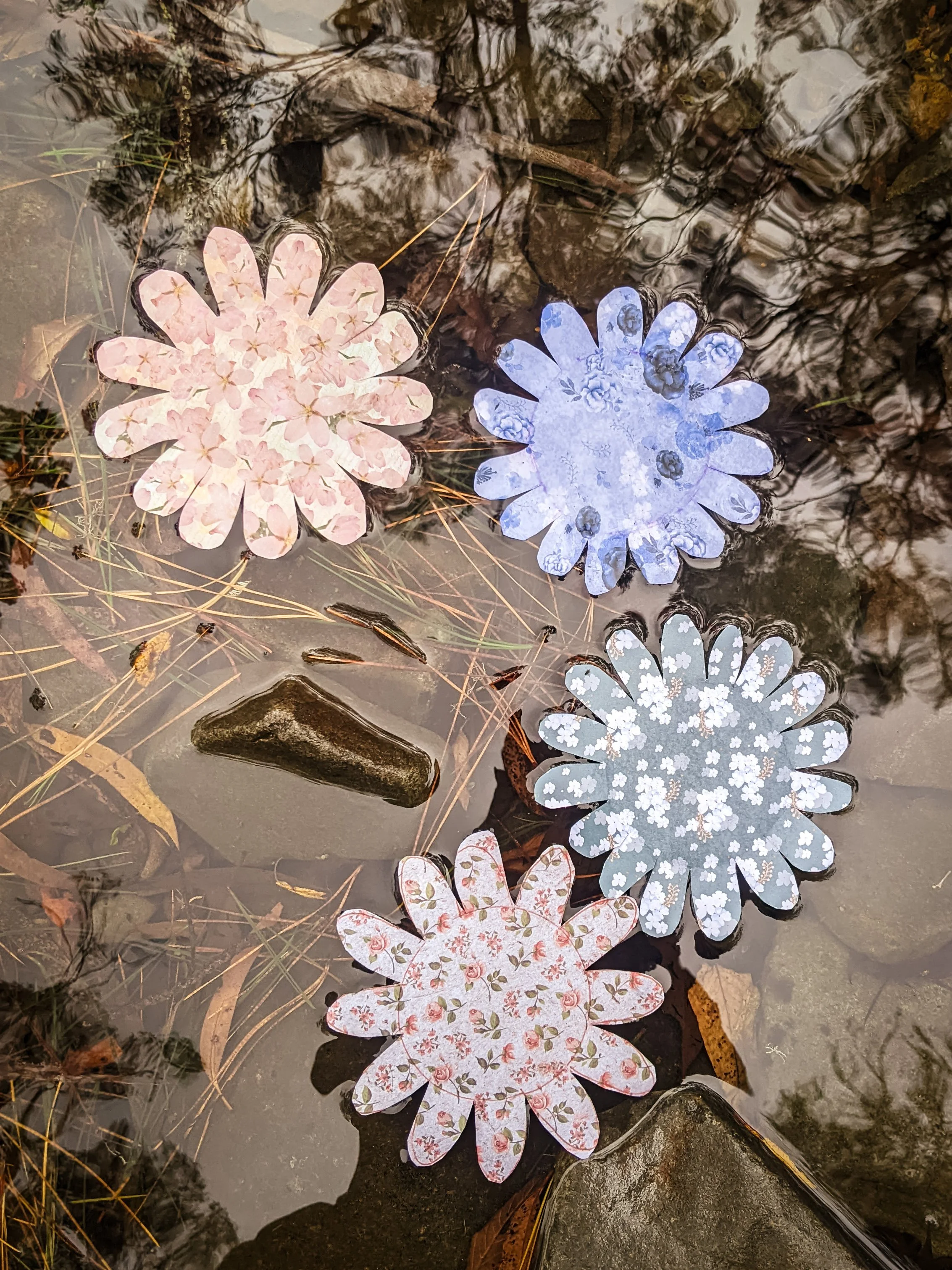 Magic Water Flowers