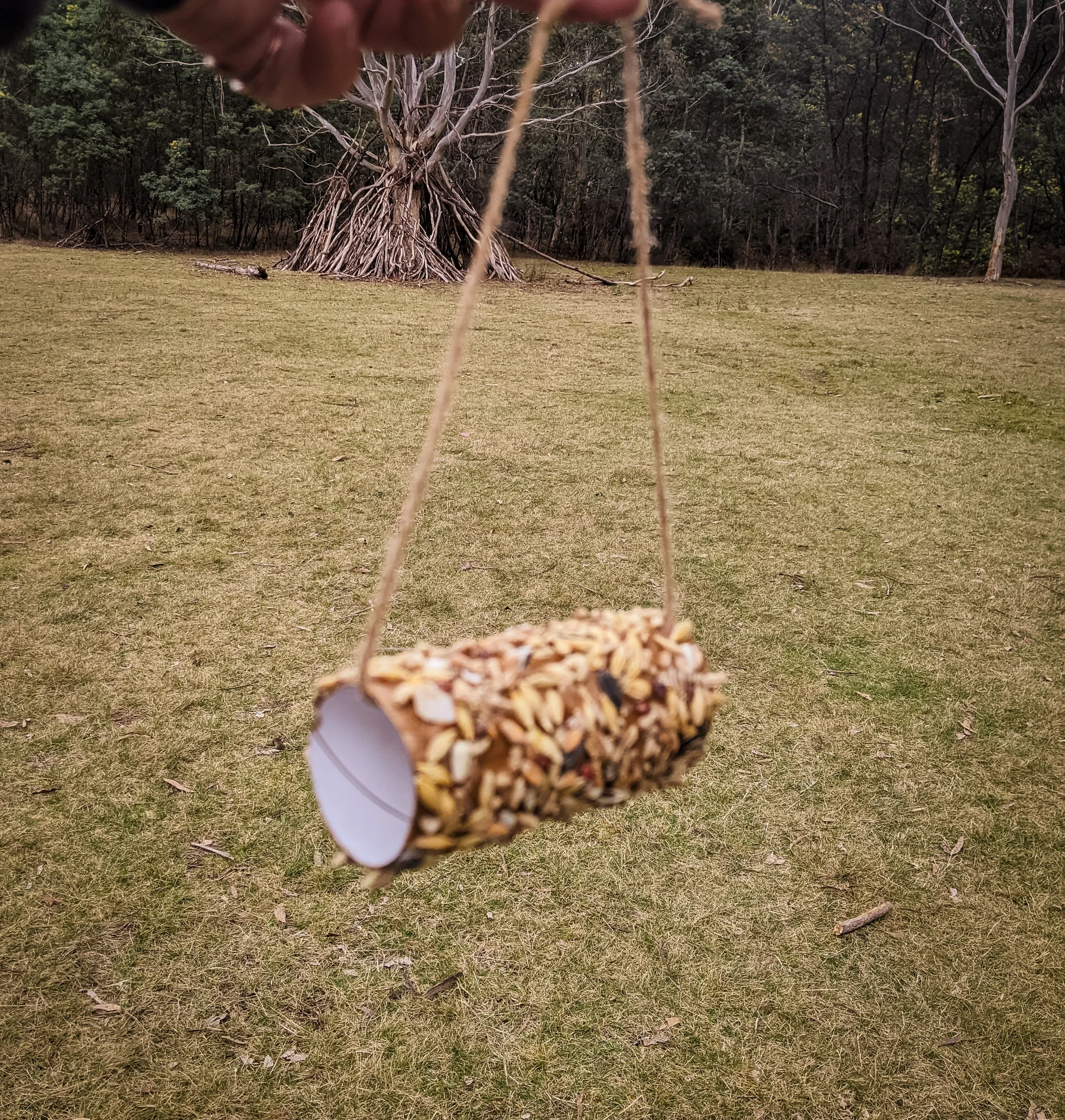Bird Feeders