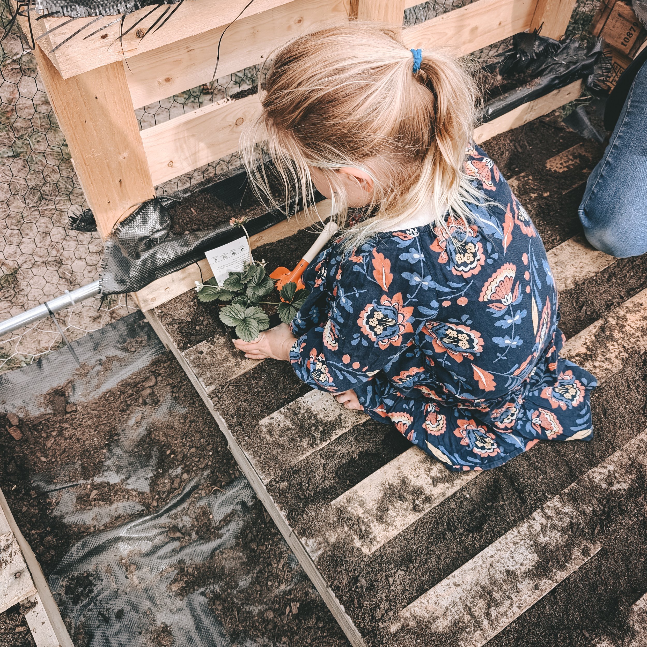 Planting Seeds