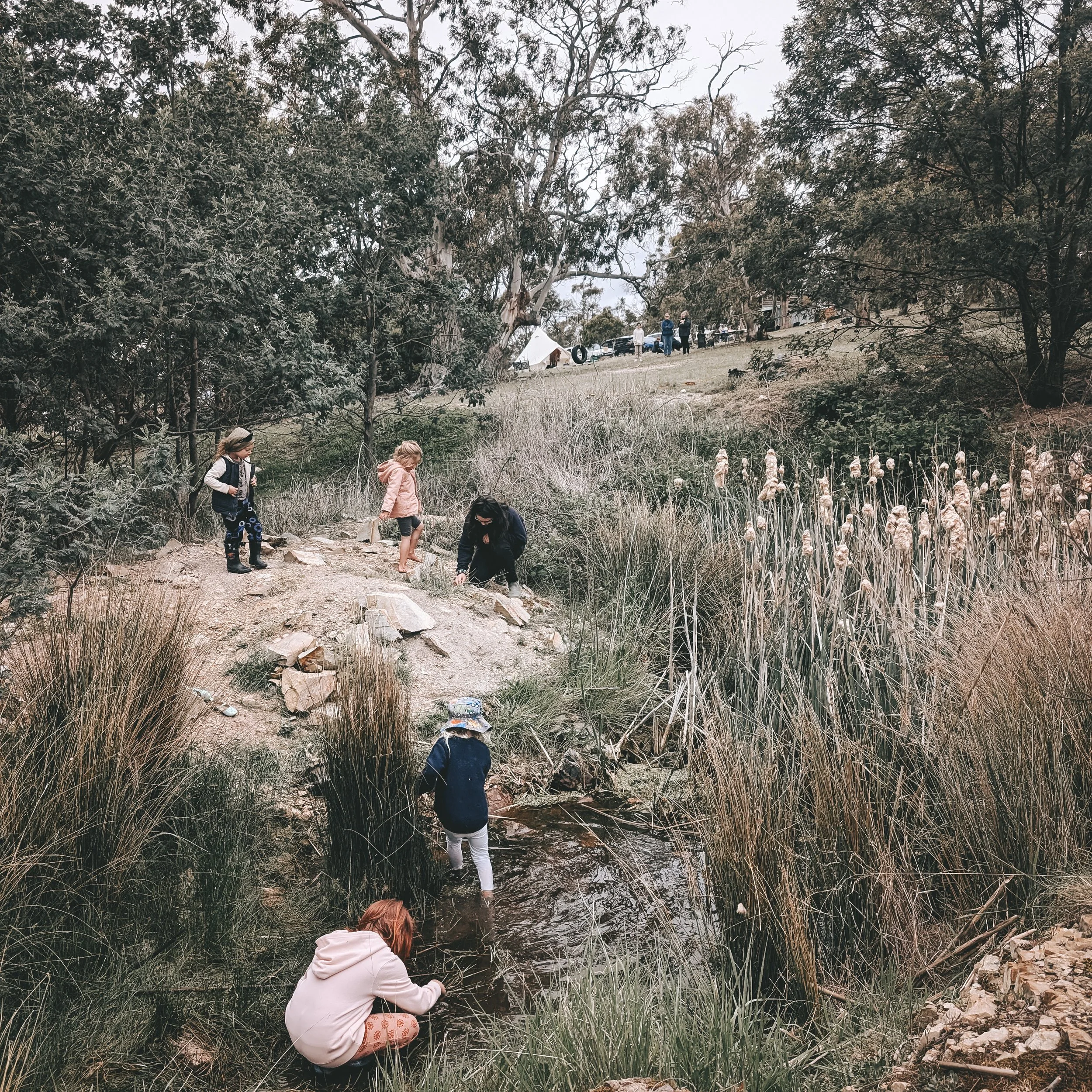 Green Steps Sponsorship — Mindful Wild Steps