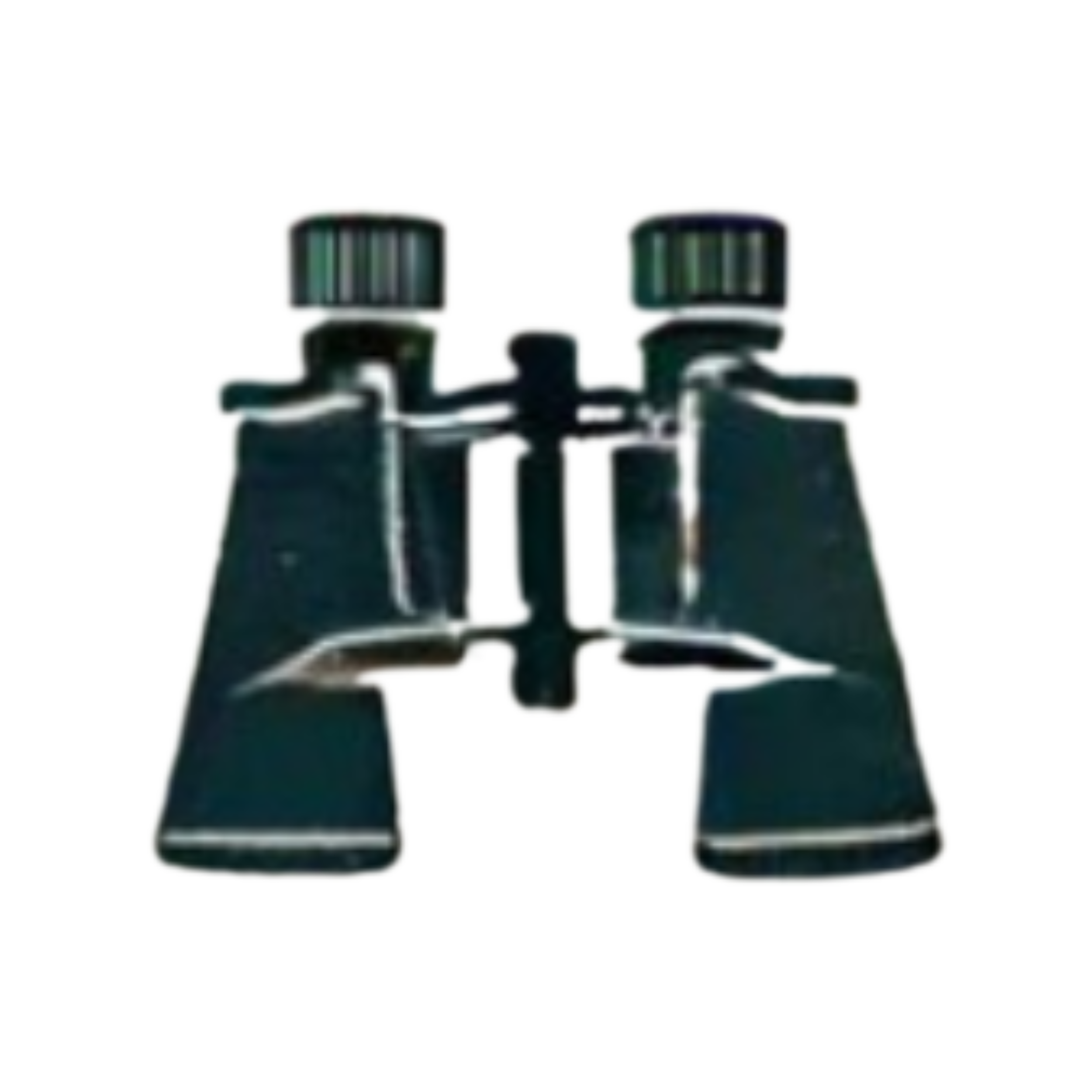 Black binoculars with a textured surface and a central focusing mechanism.