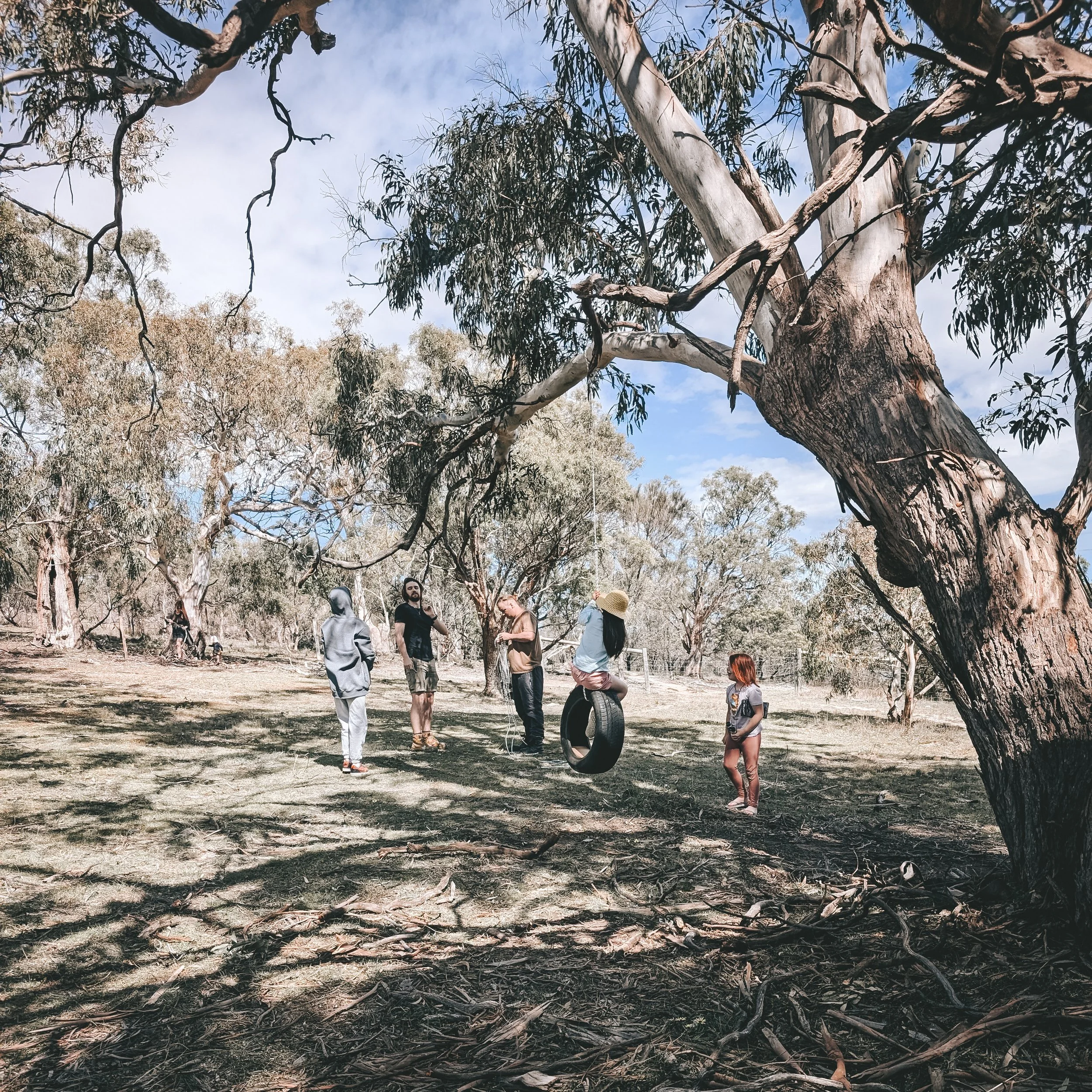 A group of five people in a wooded outdoor park, with some standing and one sitting on a tire swing hanging from a tree. The scene features tall trees and a partly cloudy sky.