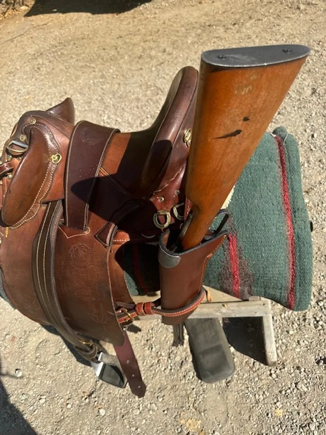 Coude cuir Racing Tack pour trotteur au meilleur prix garanti