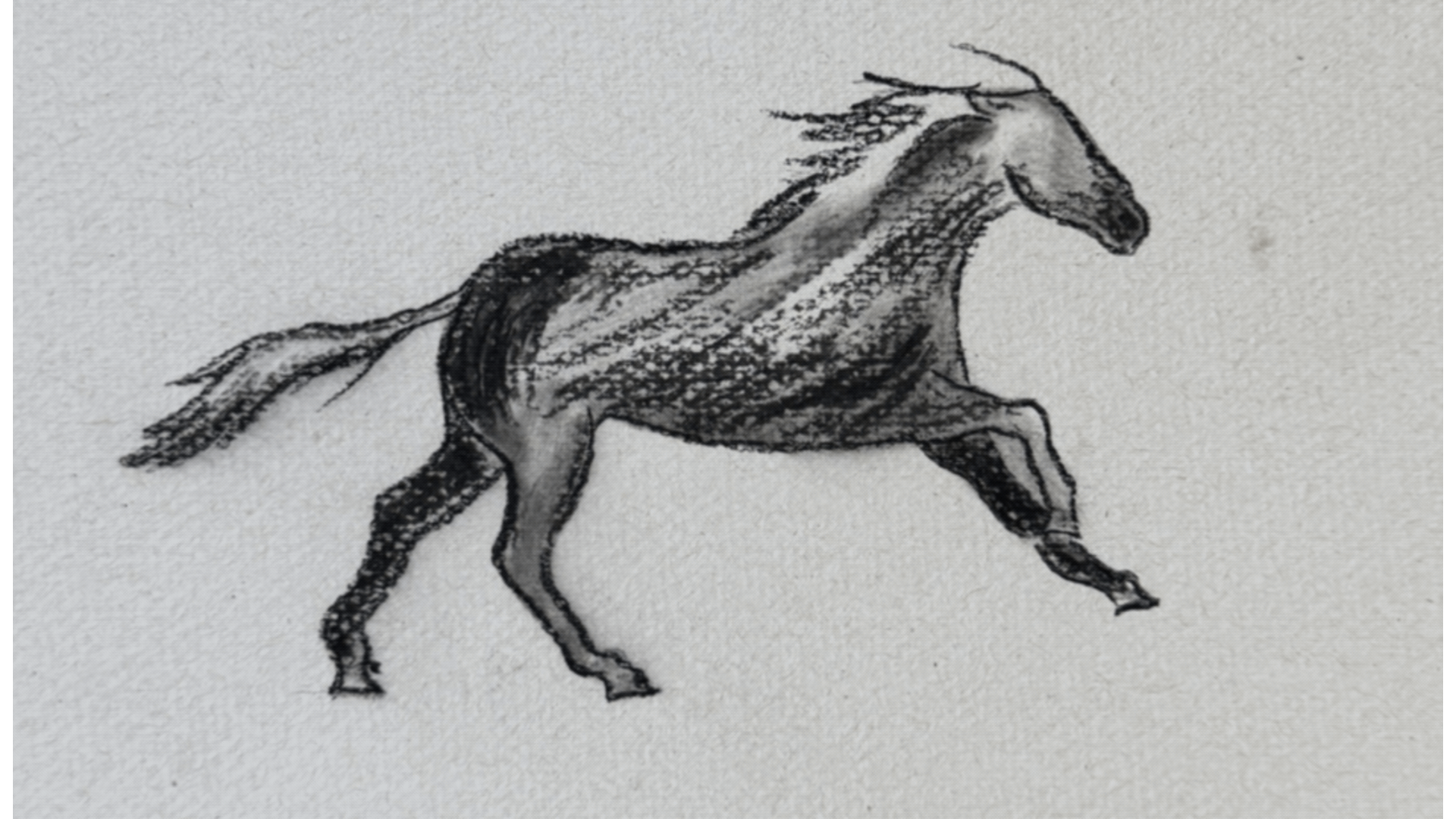 Horse Play