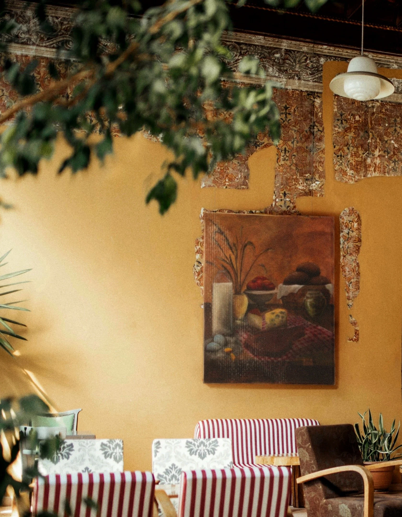 IMG_6431_SnapseedCopy 2.jpg