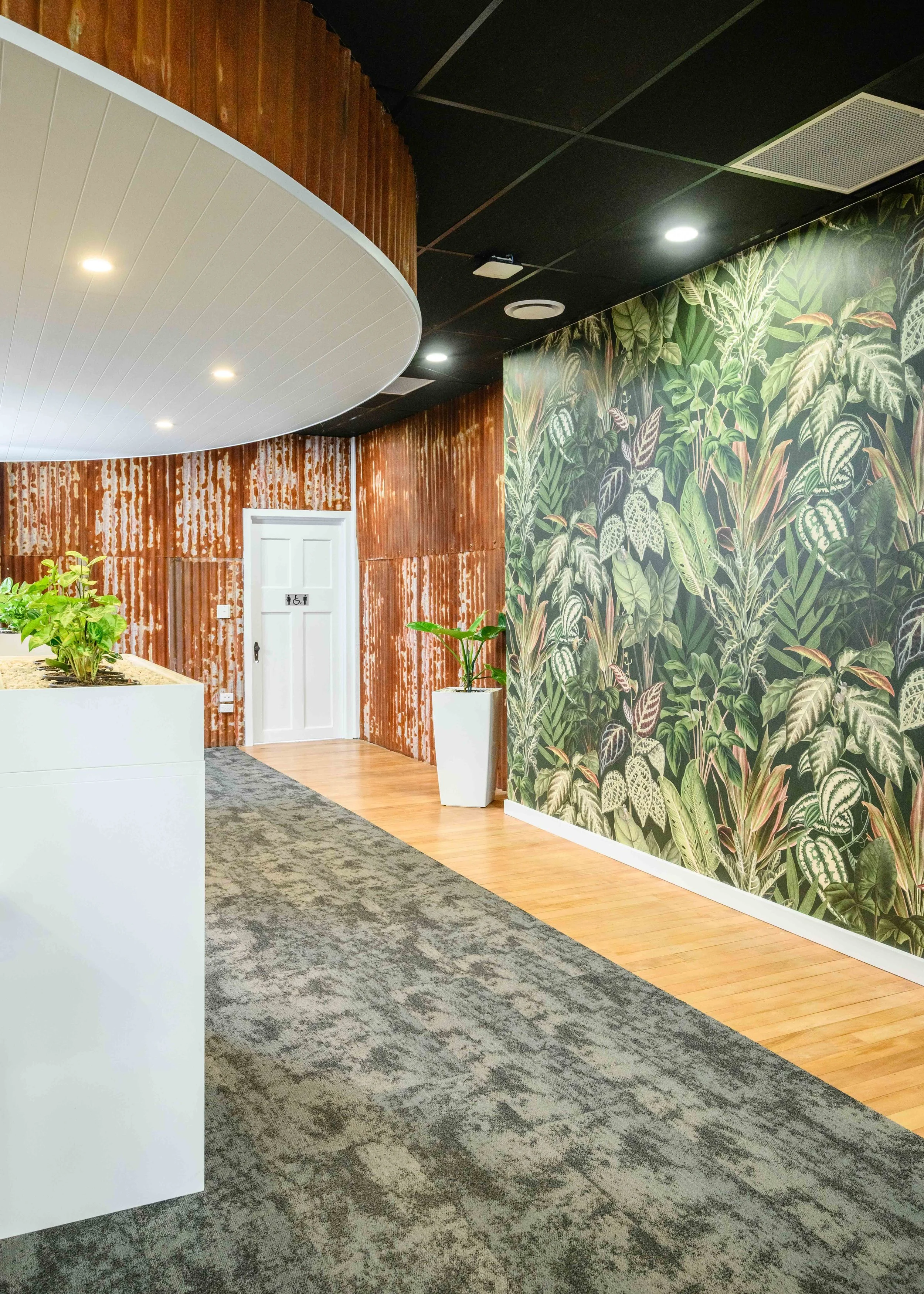 Bayleys Te Awamutu
