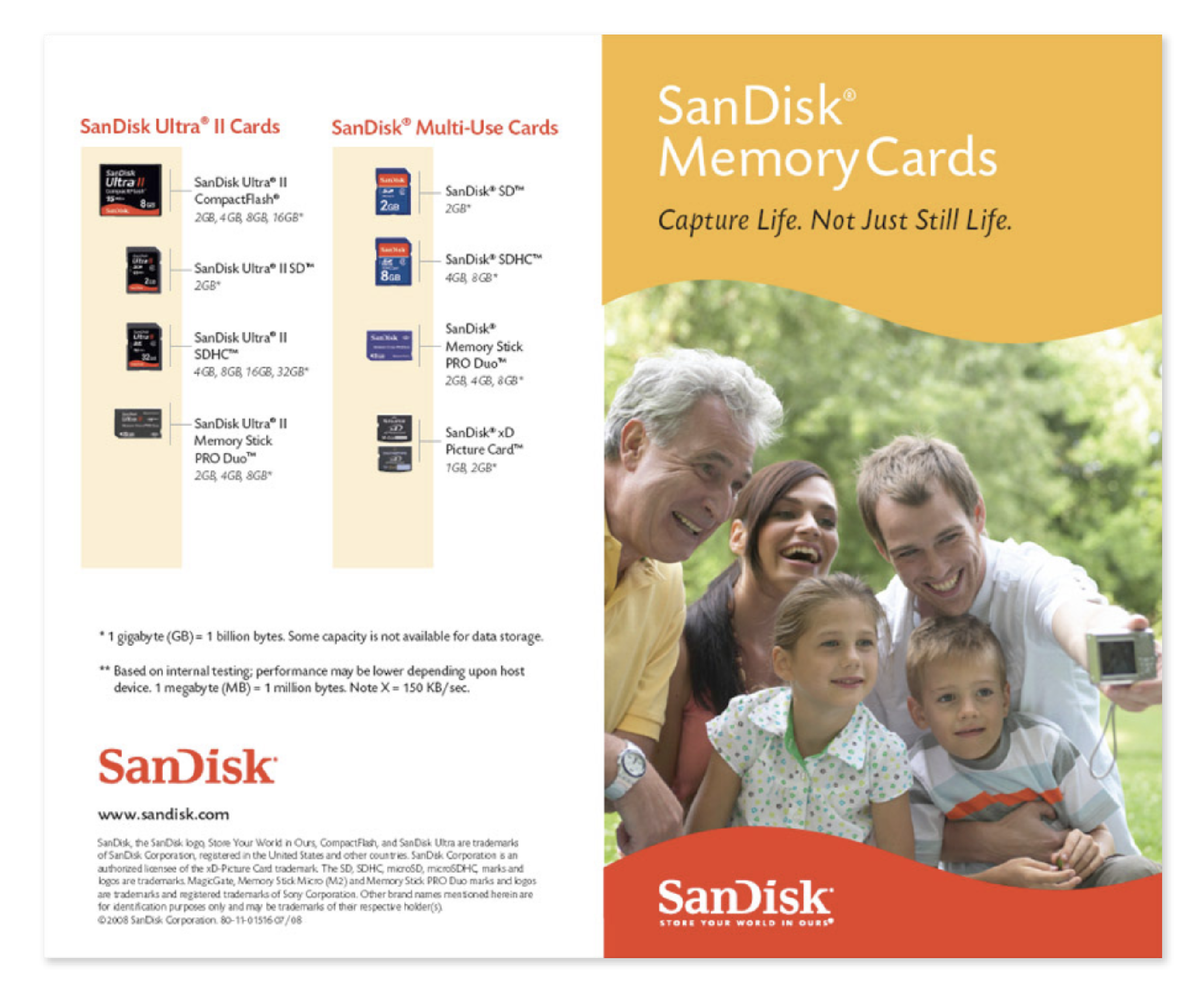 sandisk_flyer.png