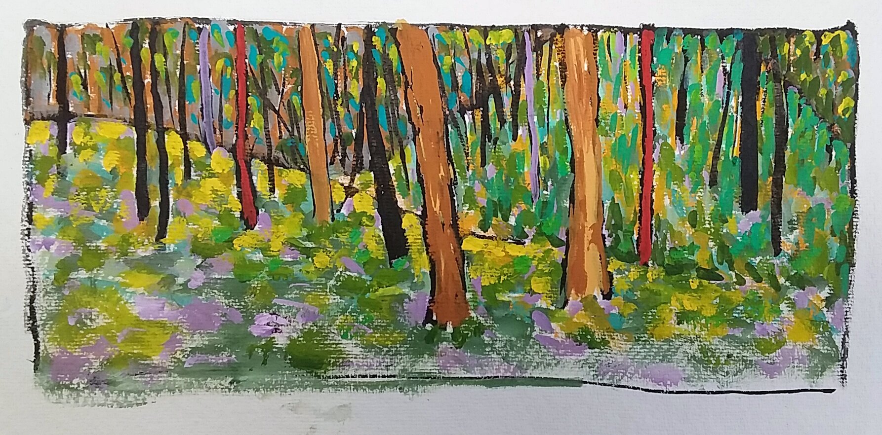 Bones Gully Track 1