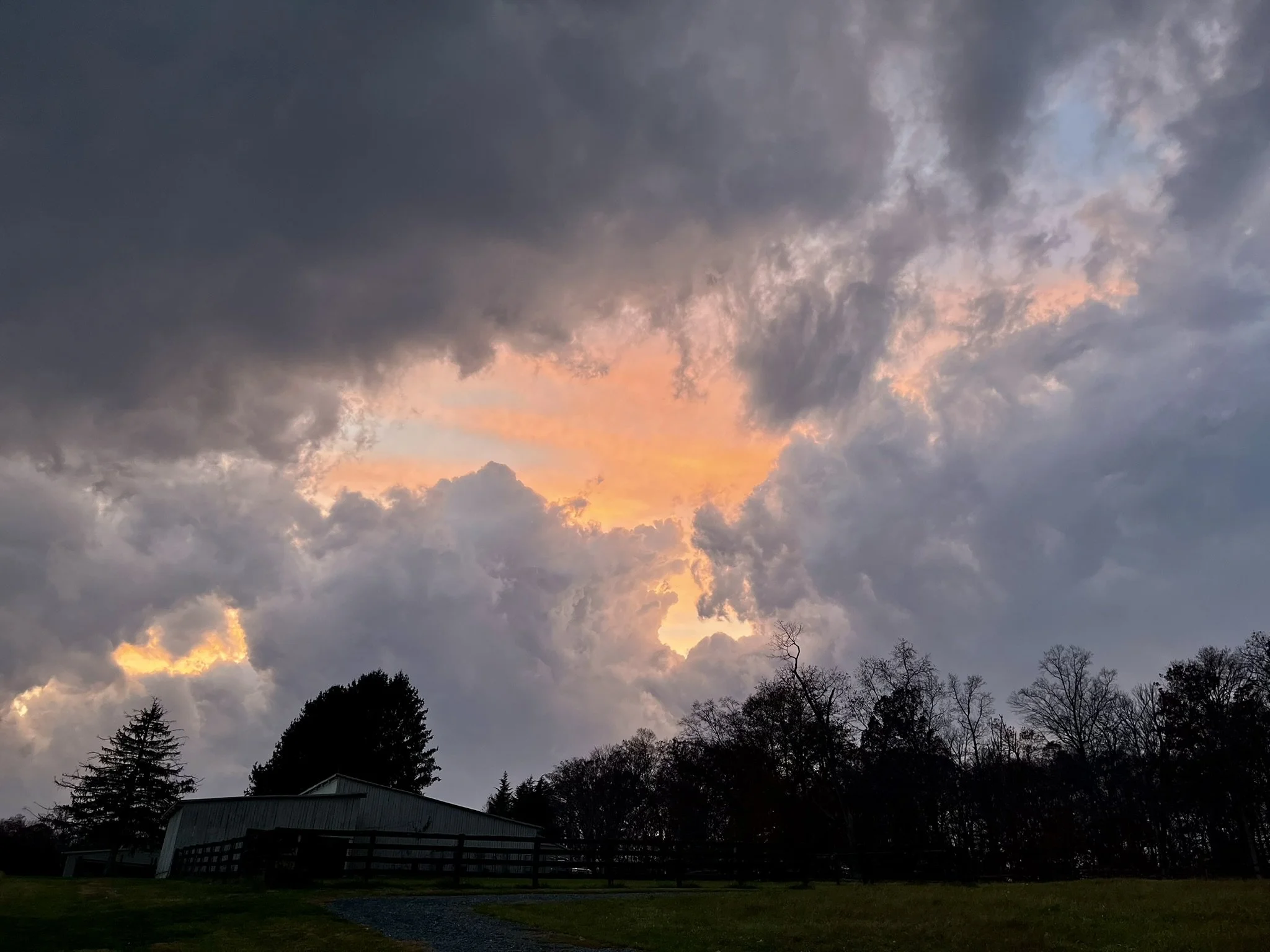 Welcome to Mythic Paws. Every Training Journey Begins Somewhere.