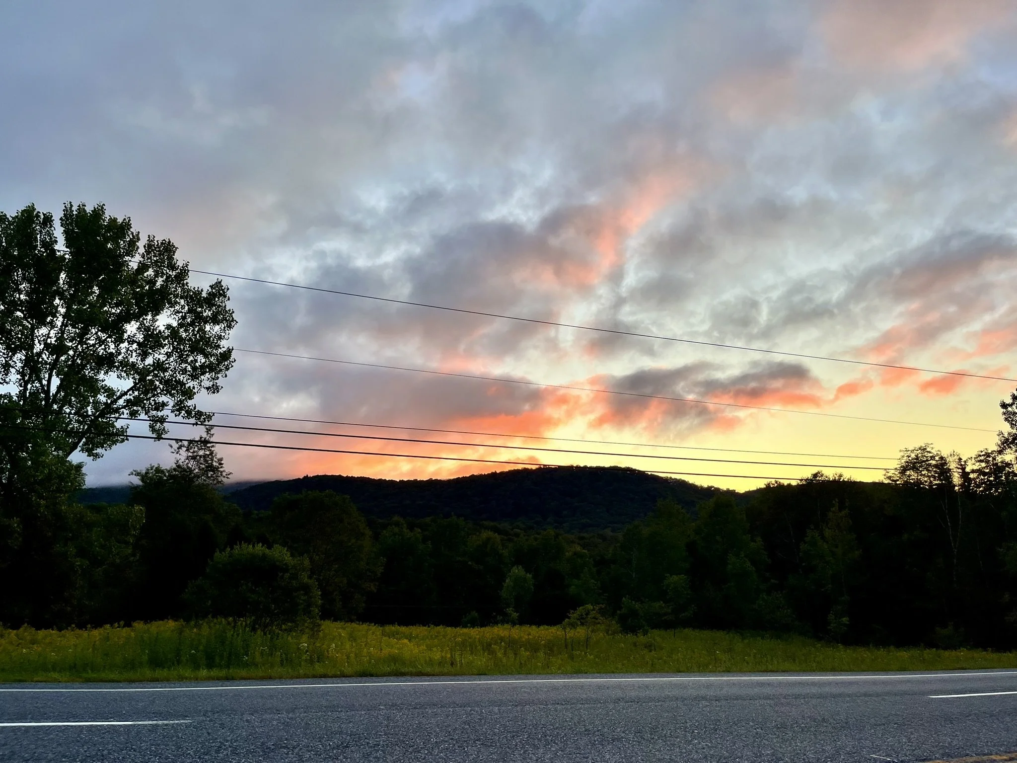 Hard Walks, Hidden Stories: Seeing the World Through Your Dog’s Eyes